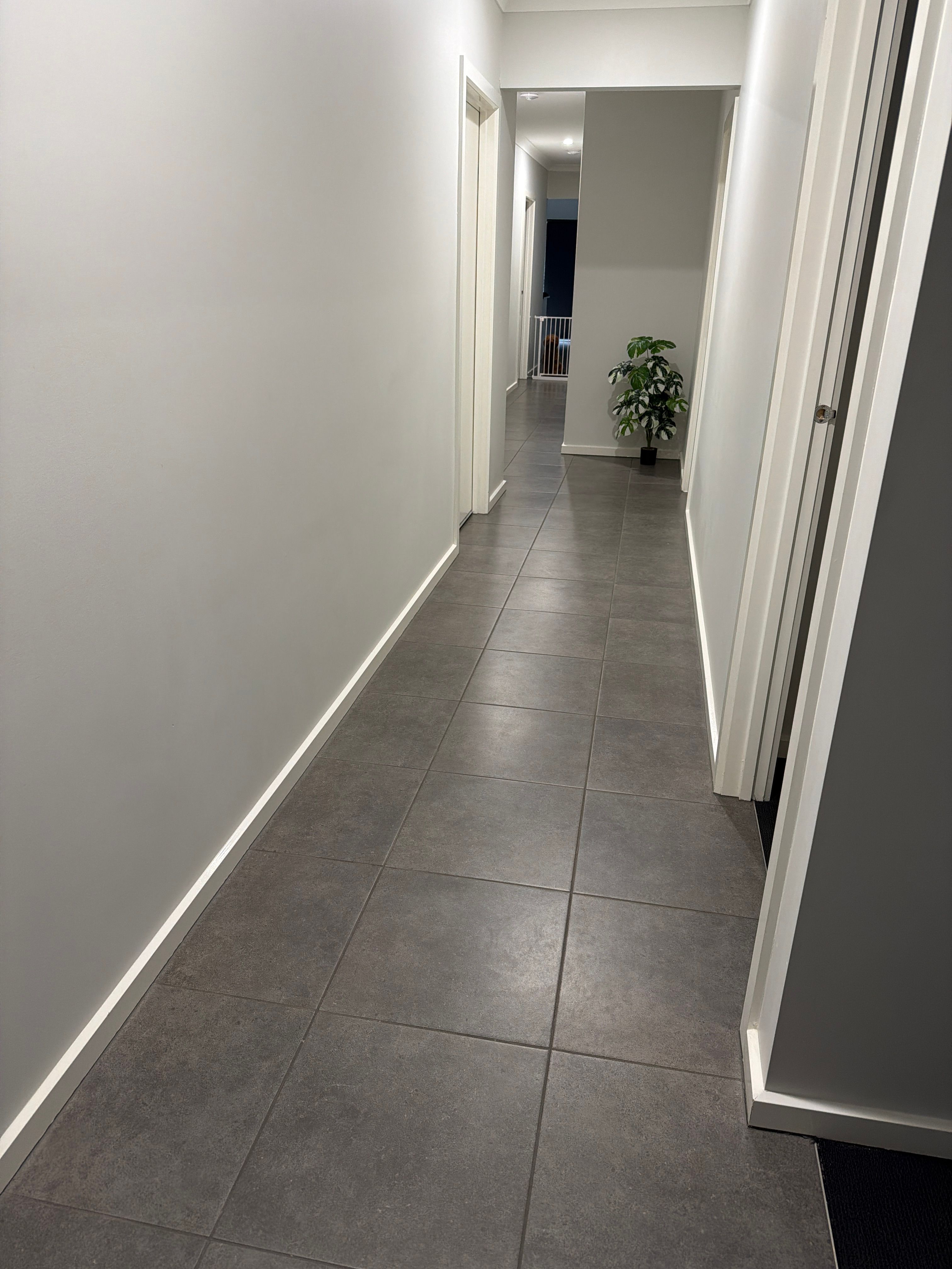 image-20
