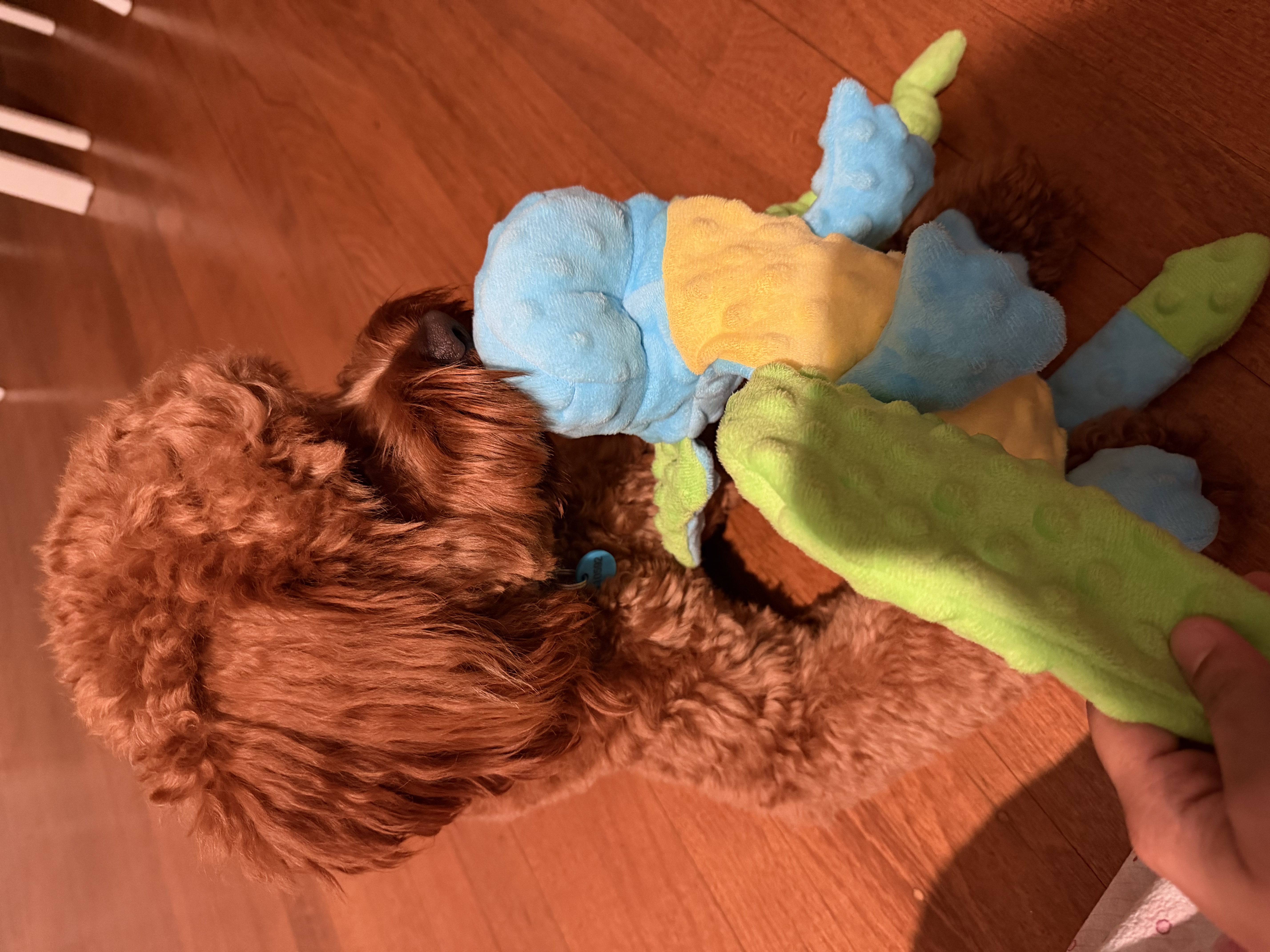 image-15