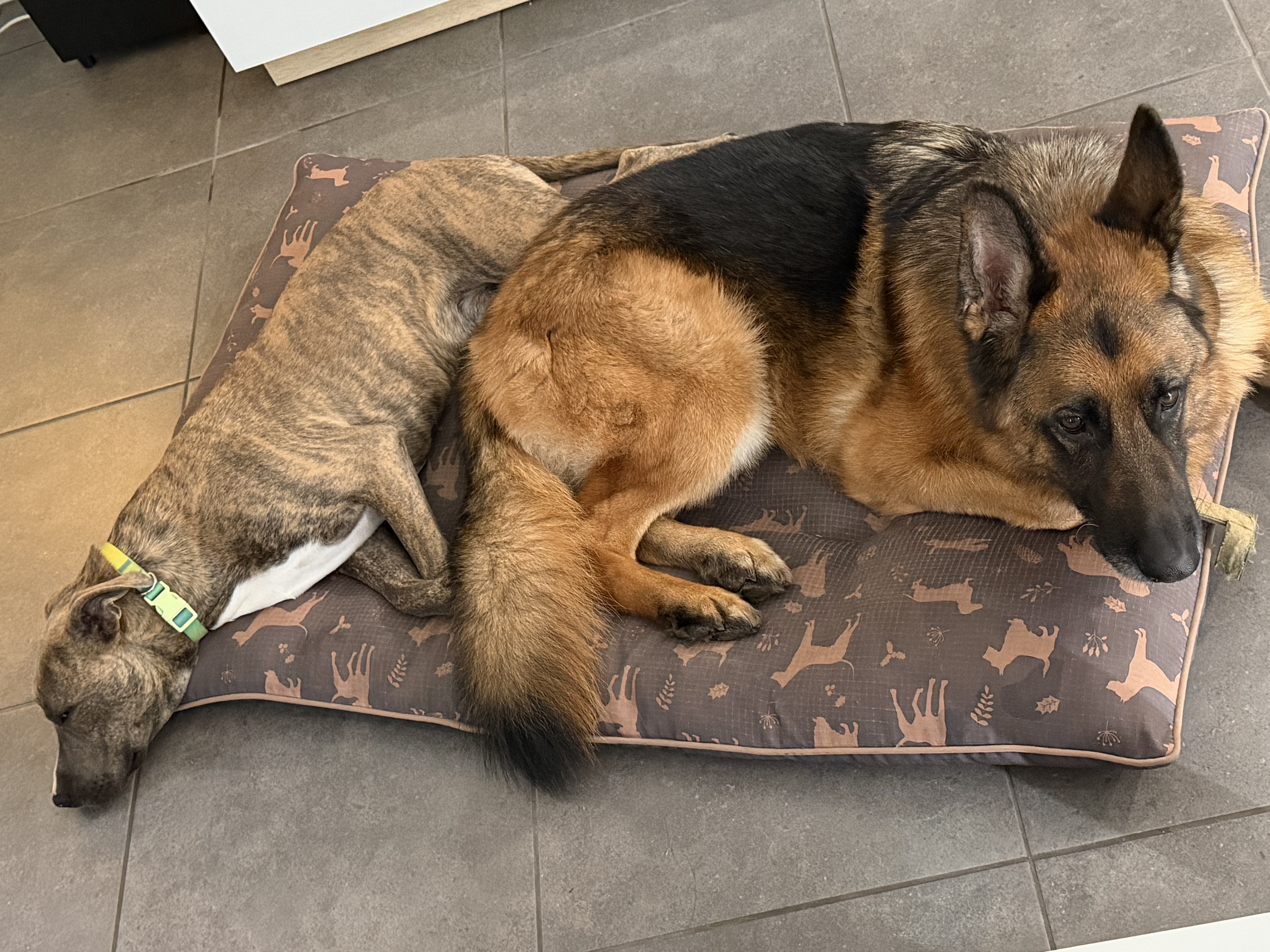 image-27