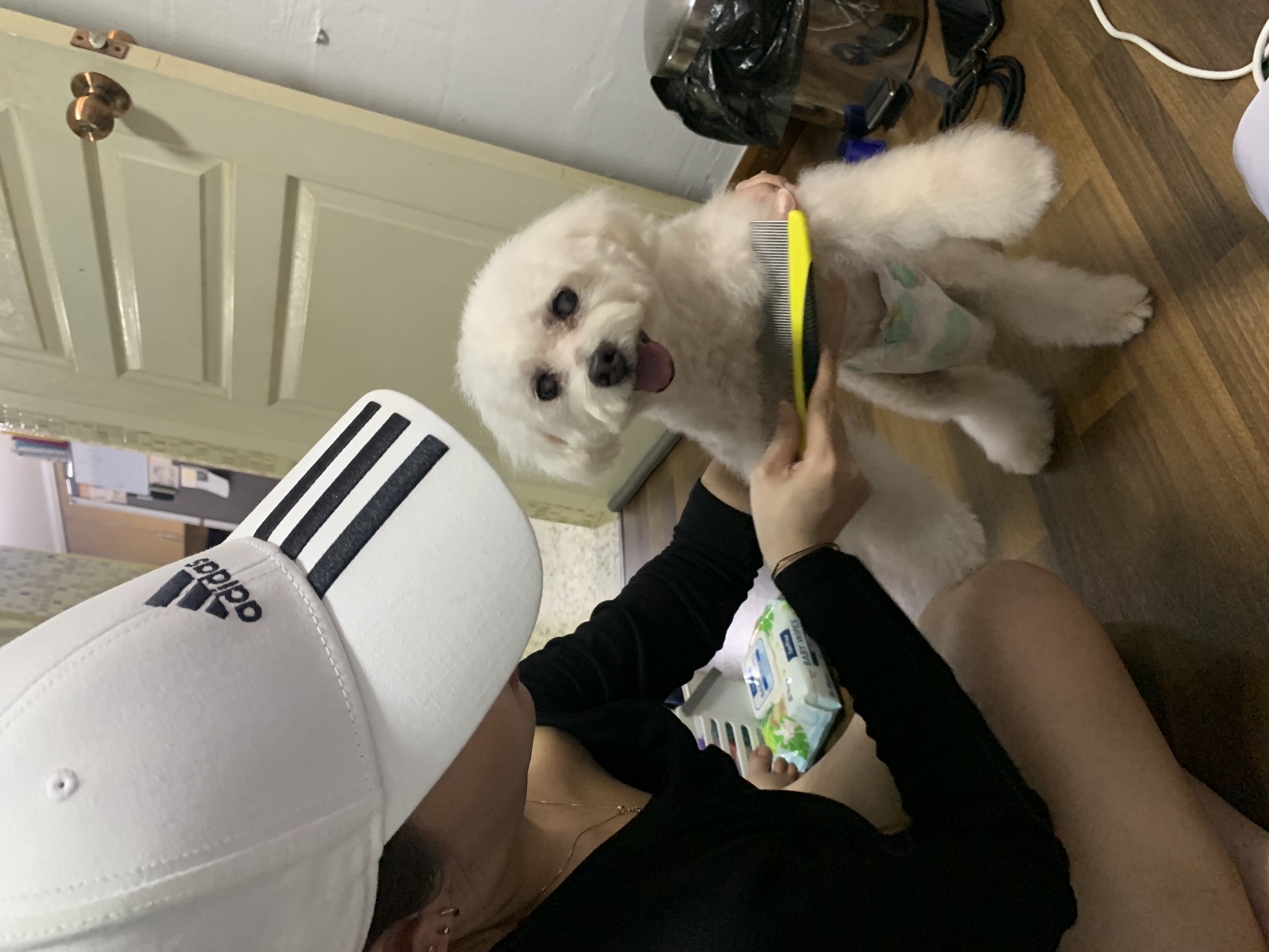 image-4