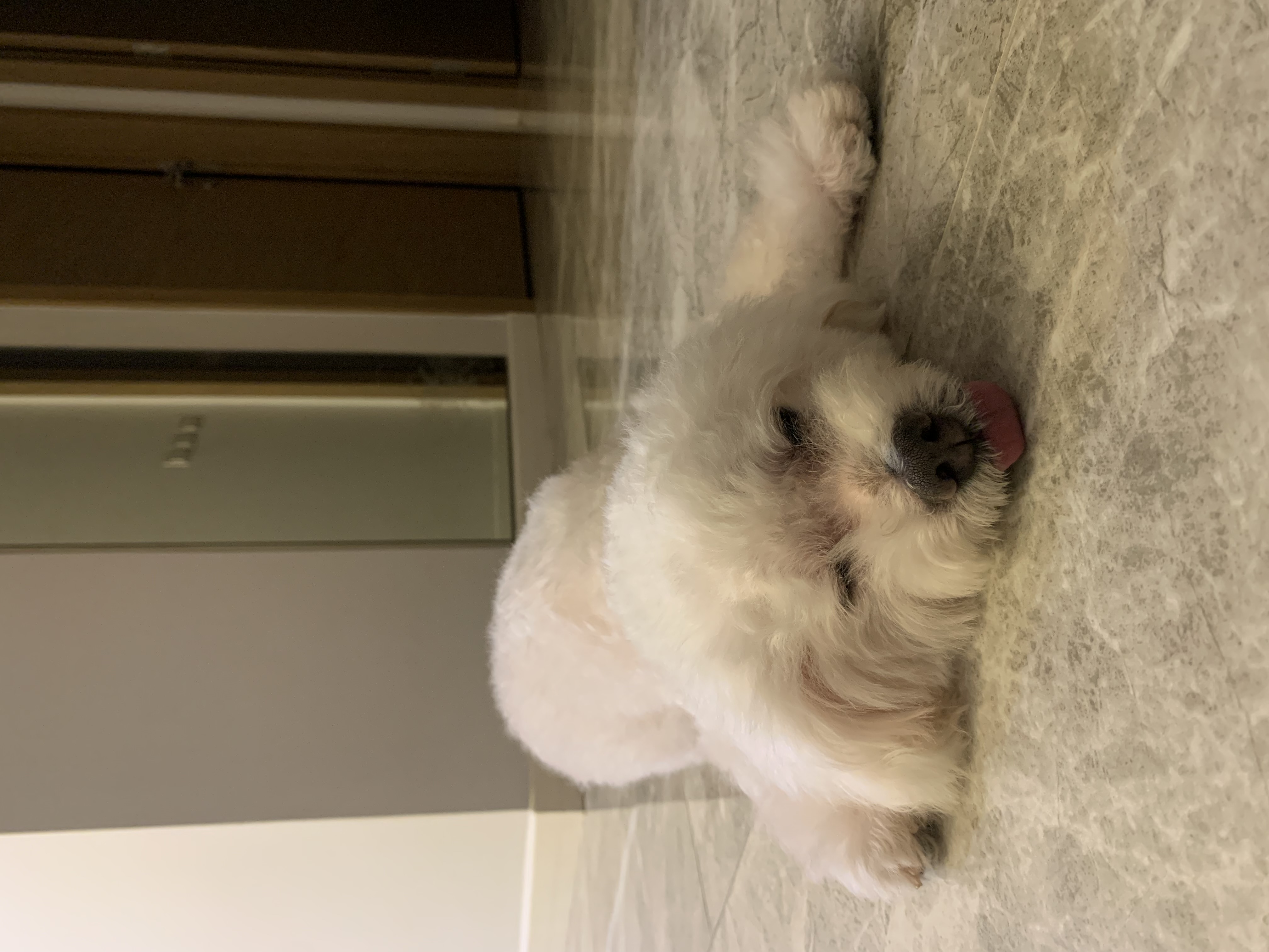 image-8