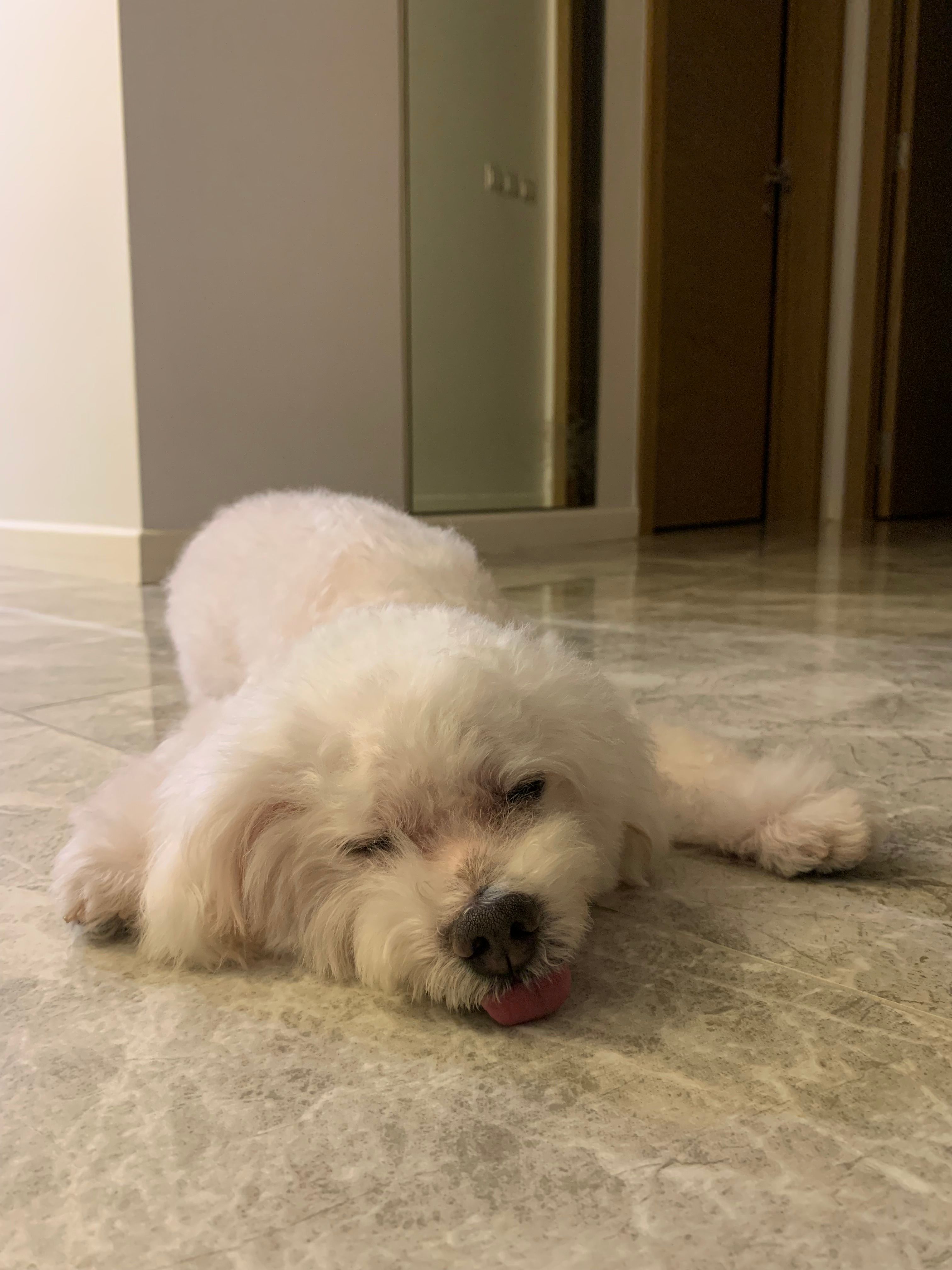 image-8