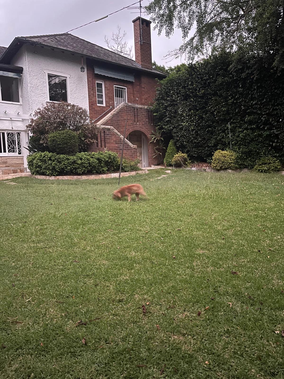 image-16