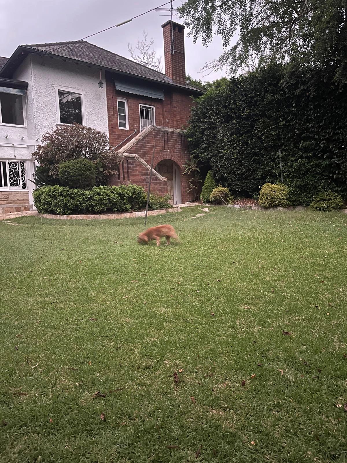 image-16