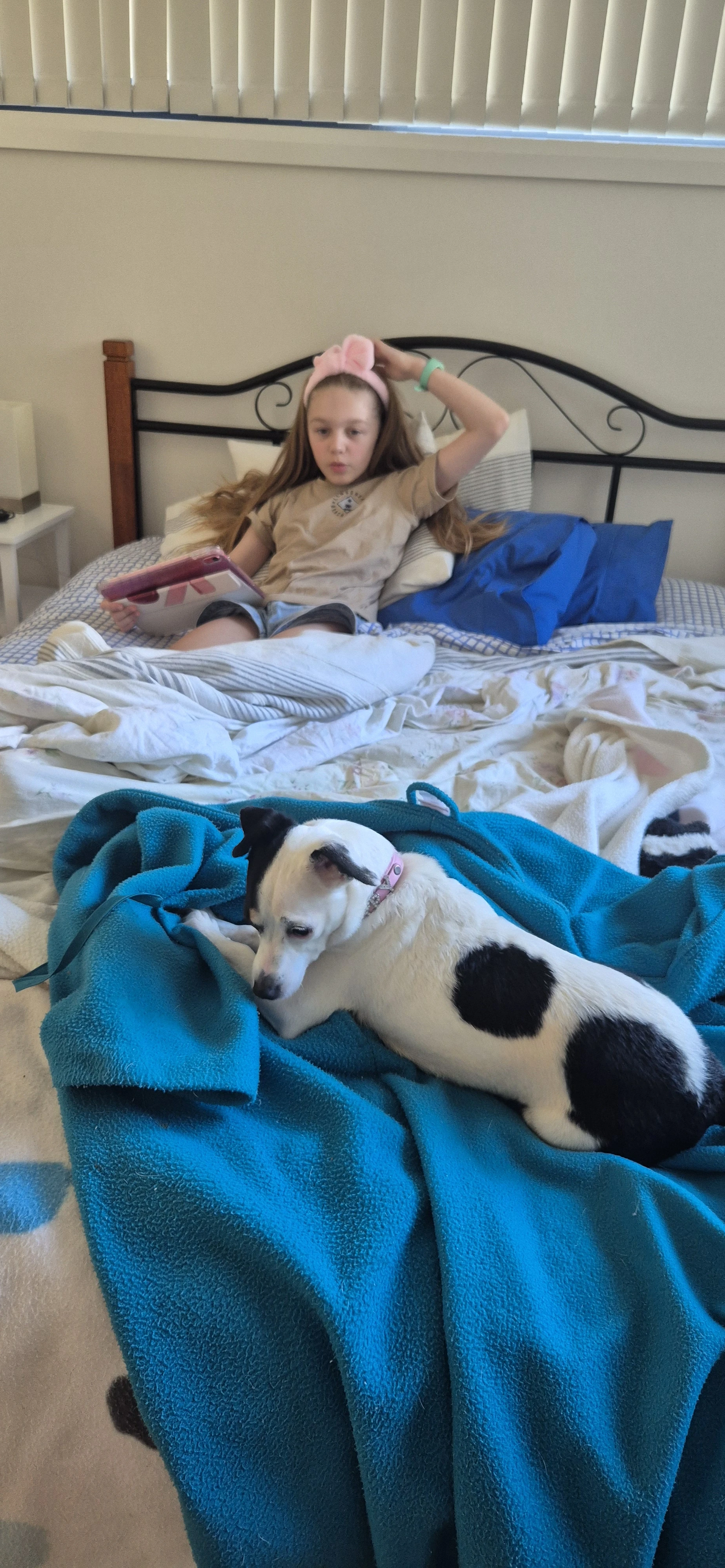 image-8