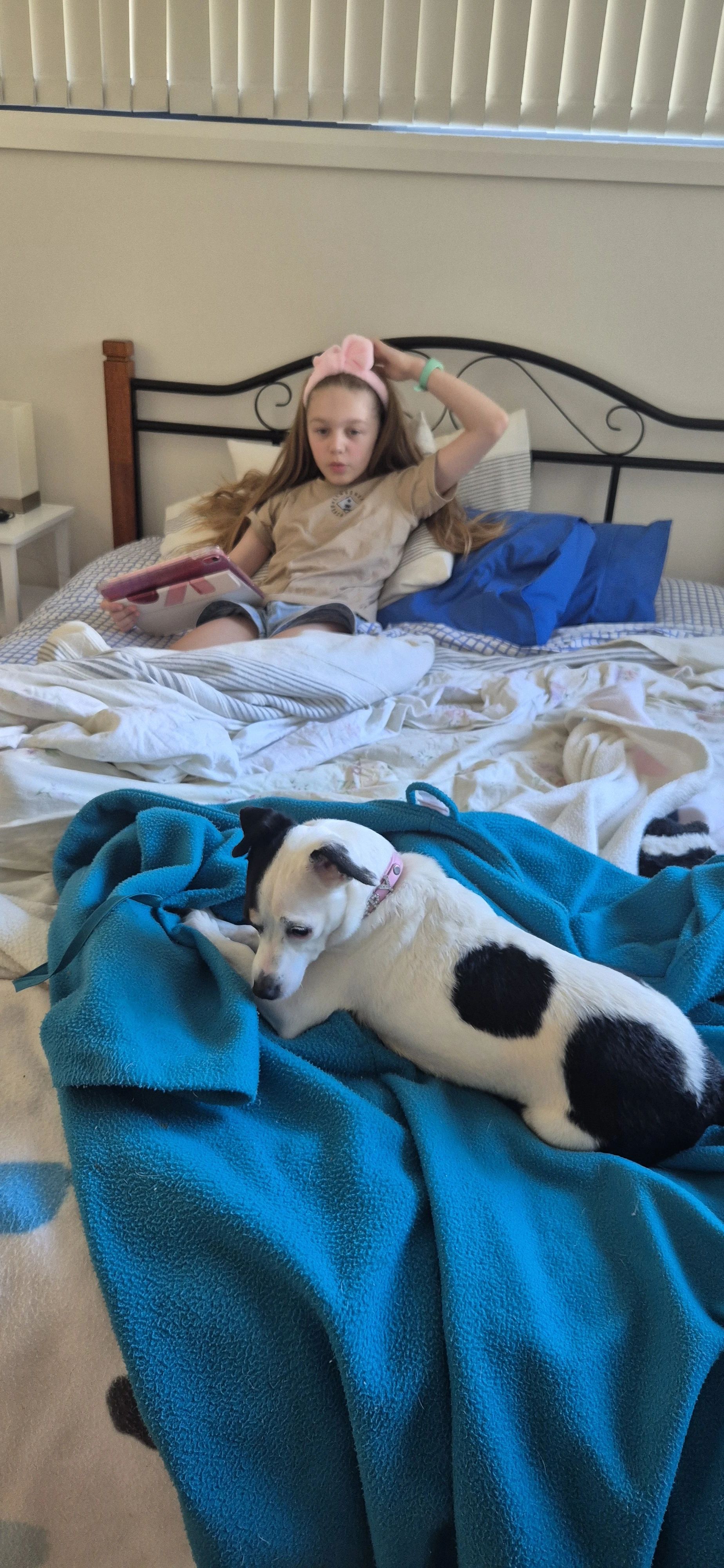 image-8