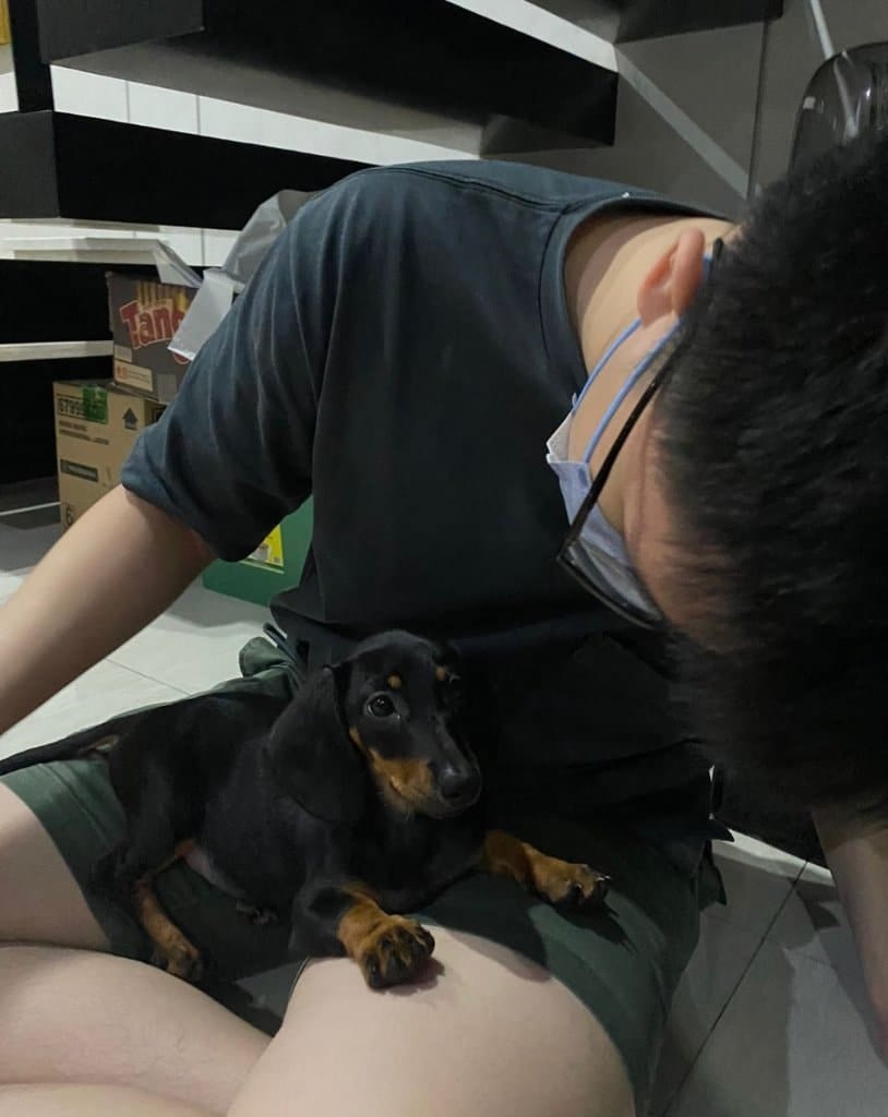 image-7
