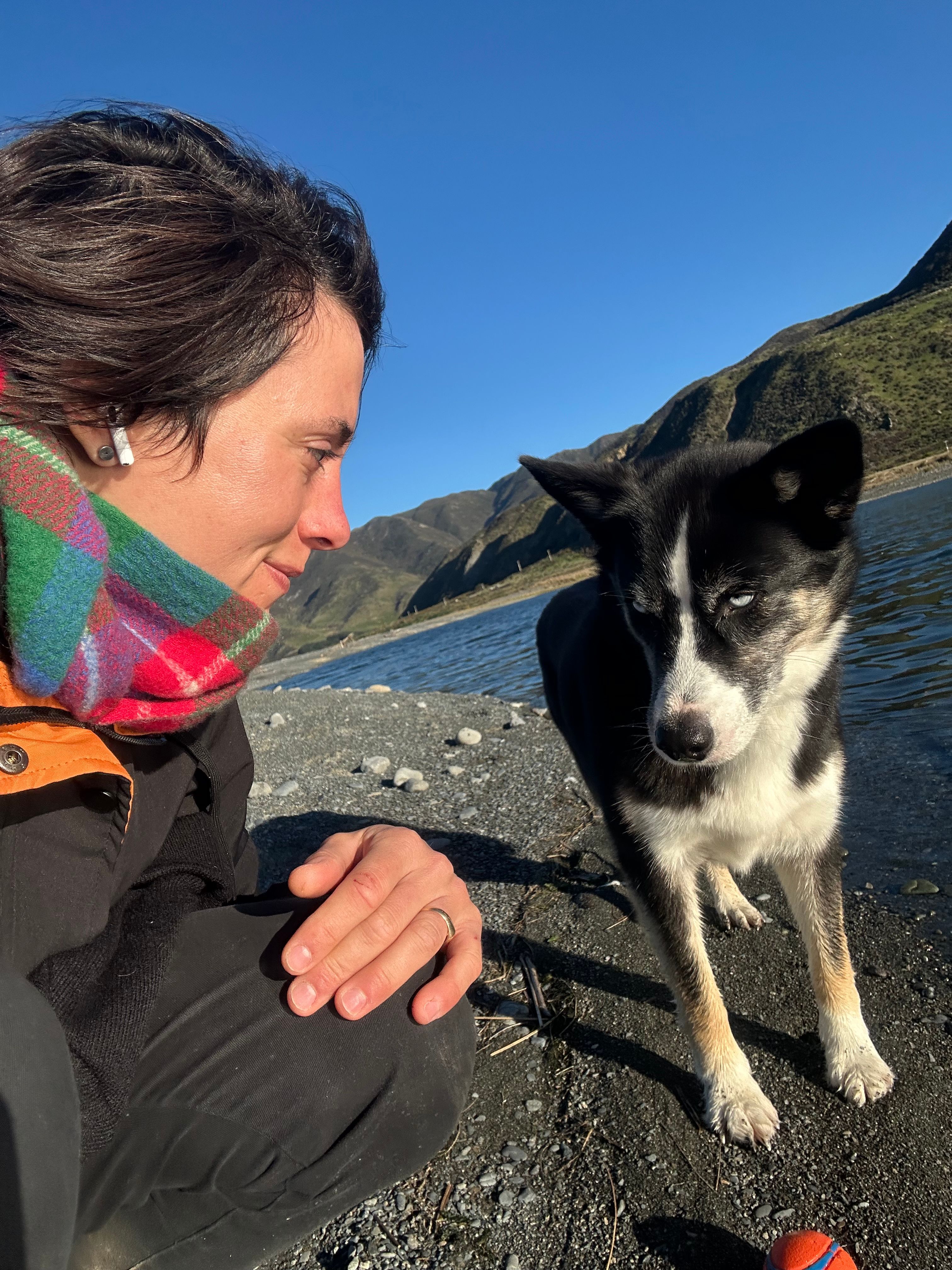image-2