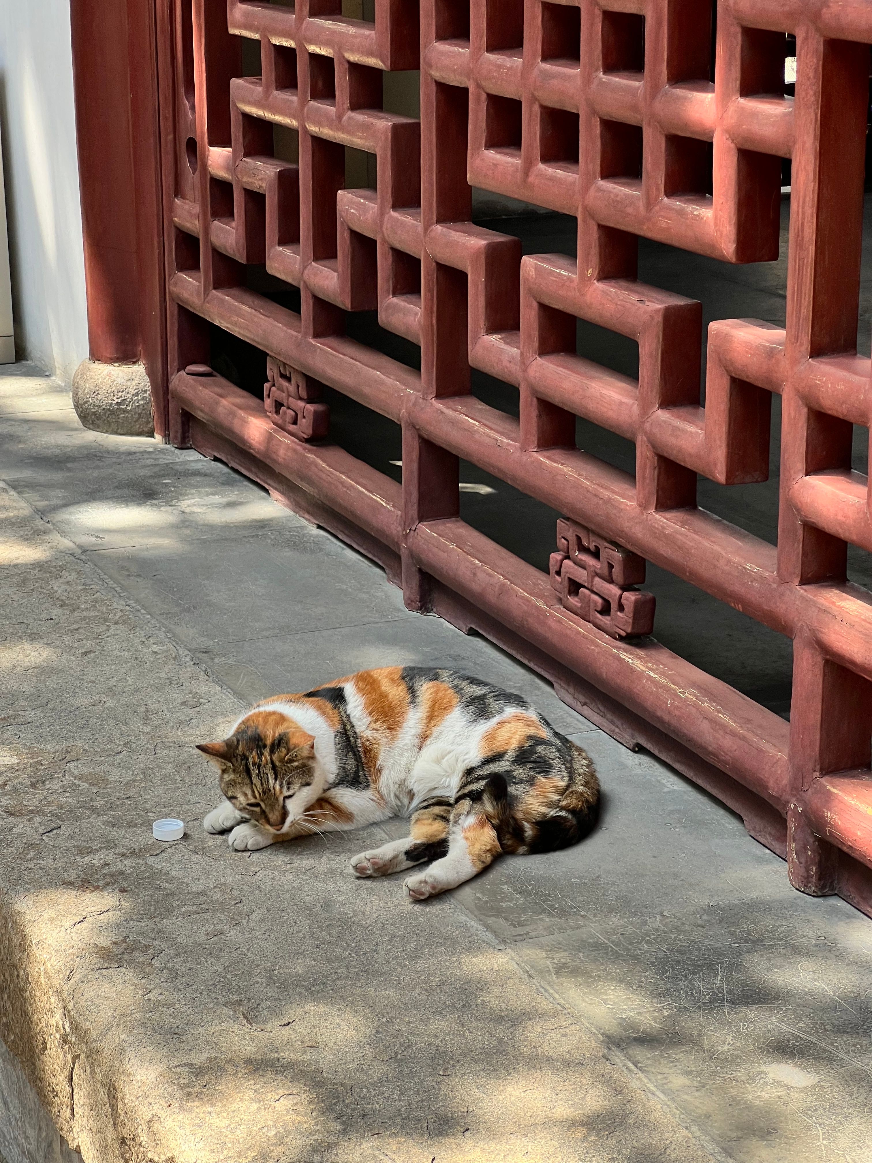 image-8