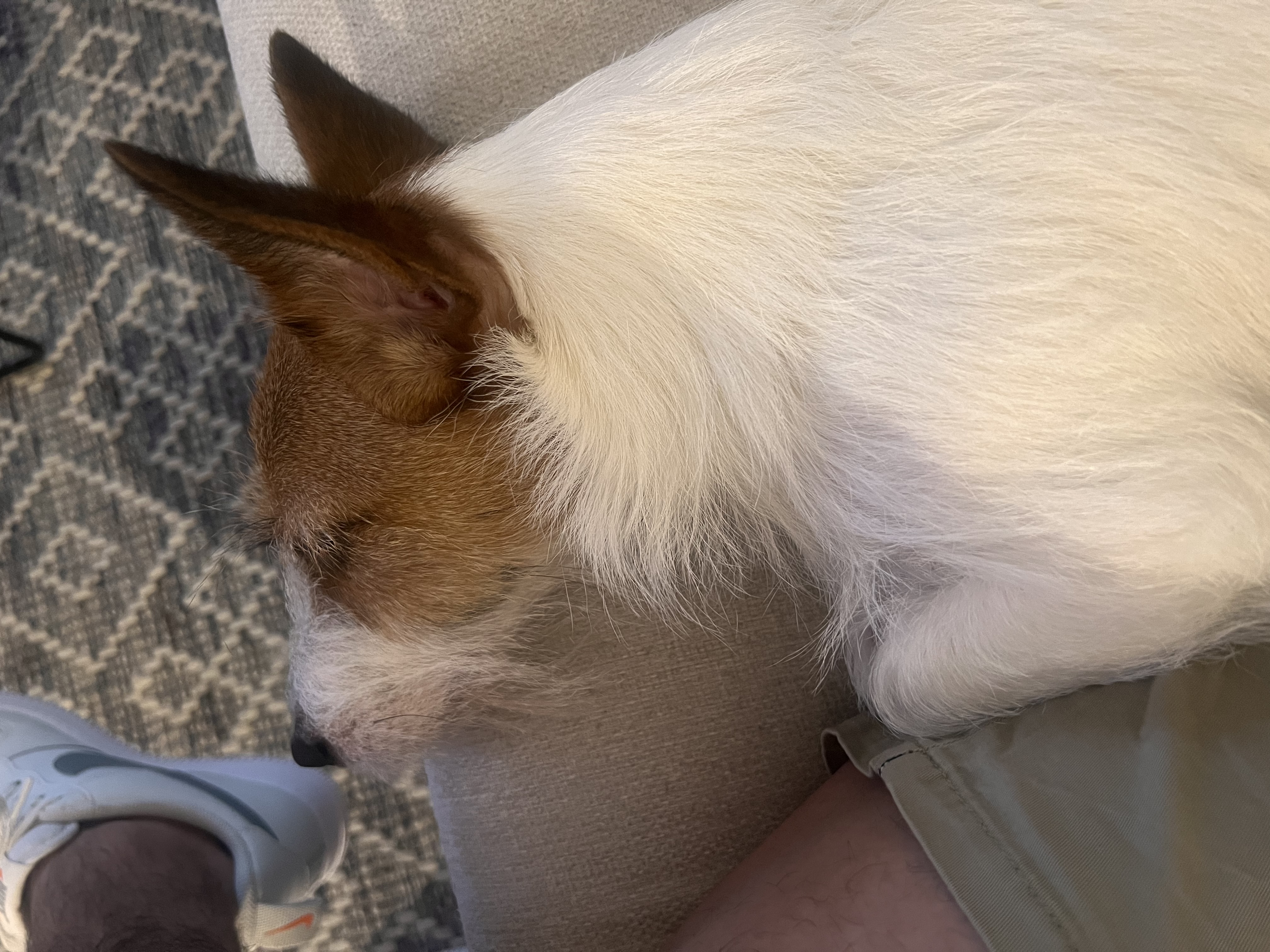 image-7