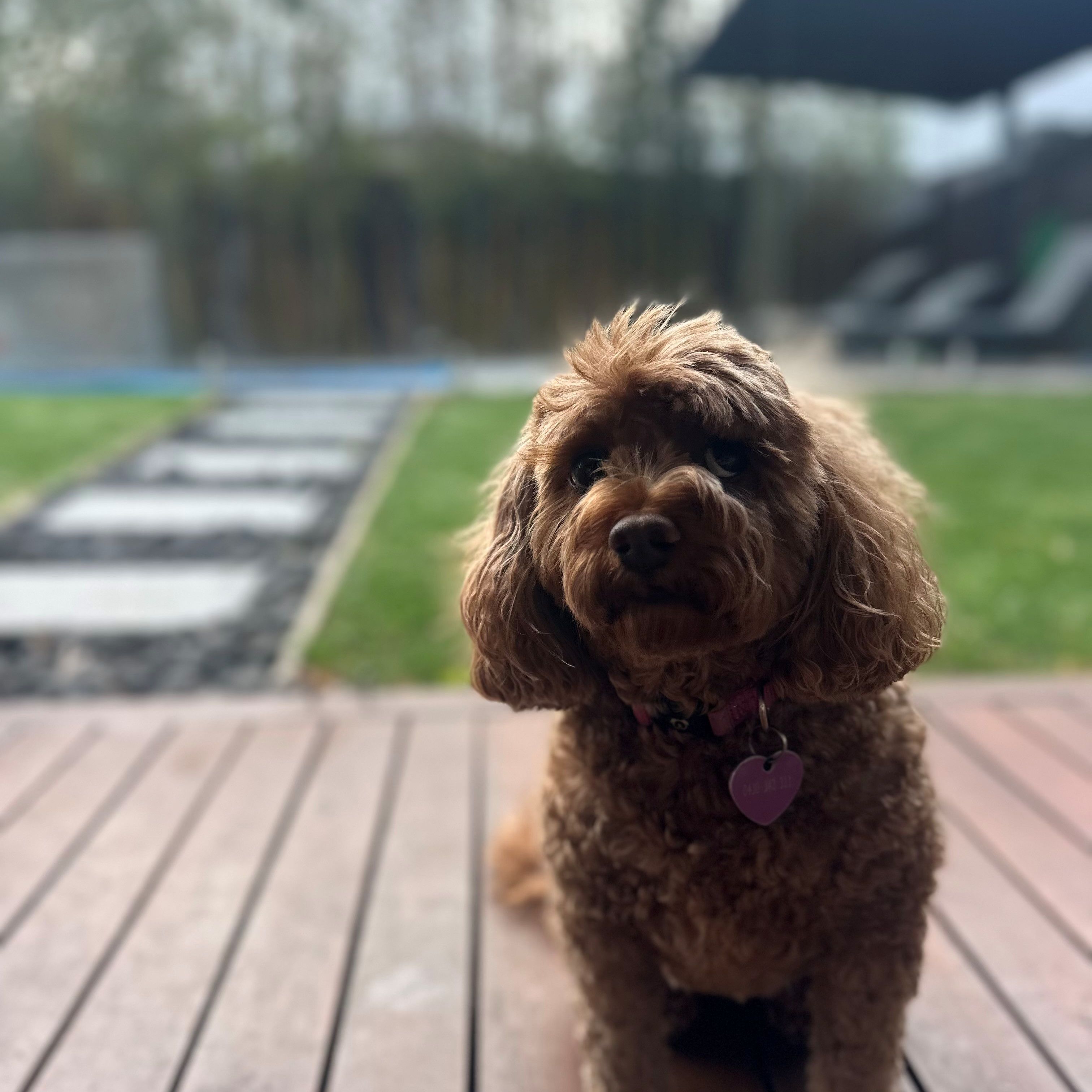 Ruby