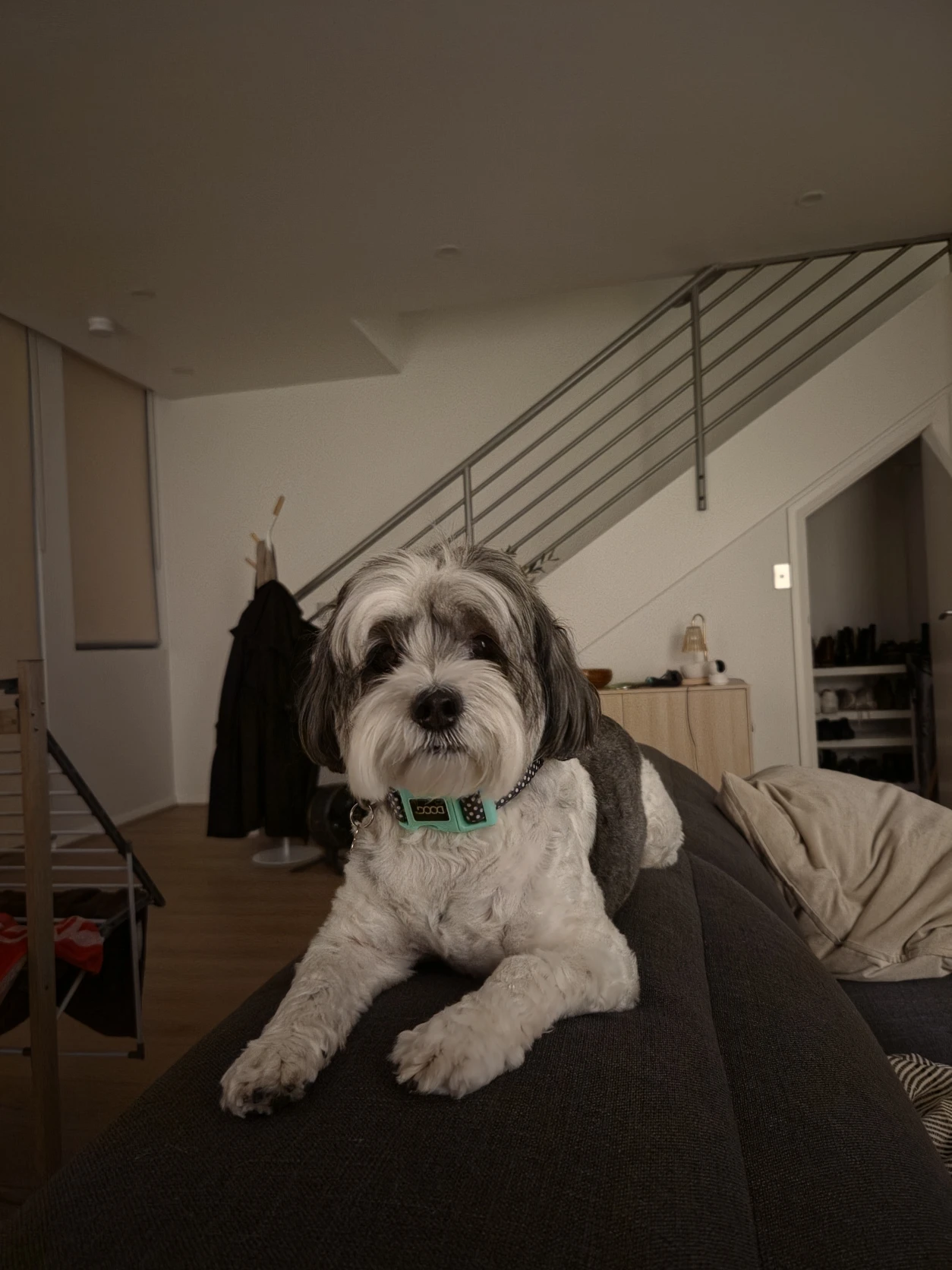 image-18