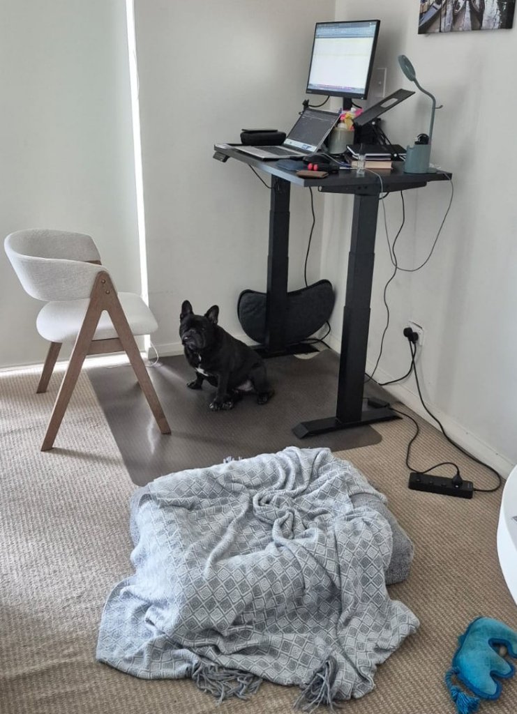 image-13