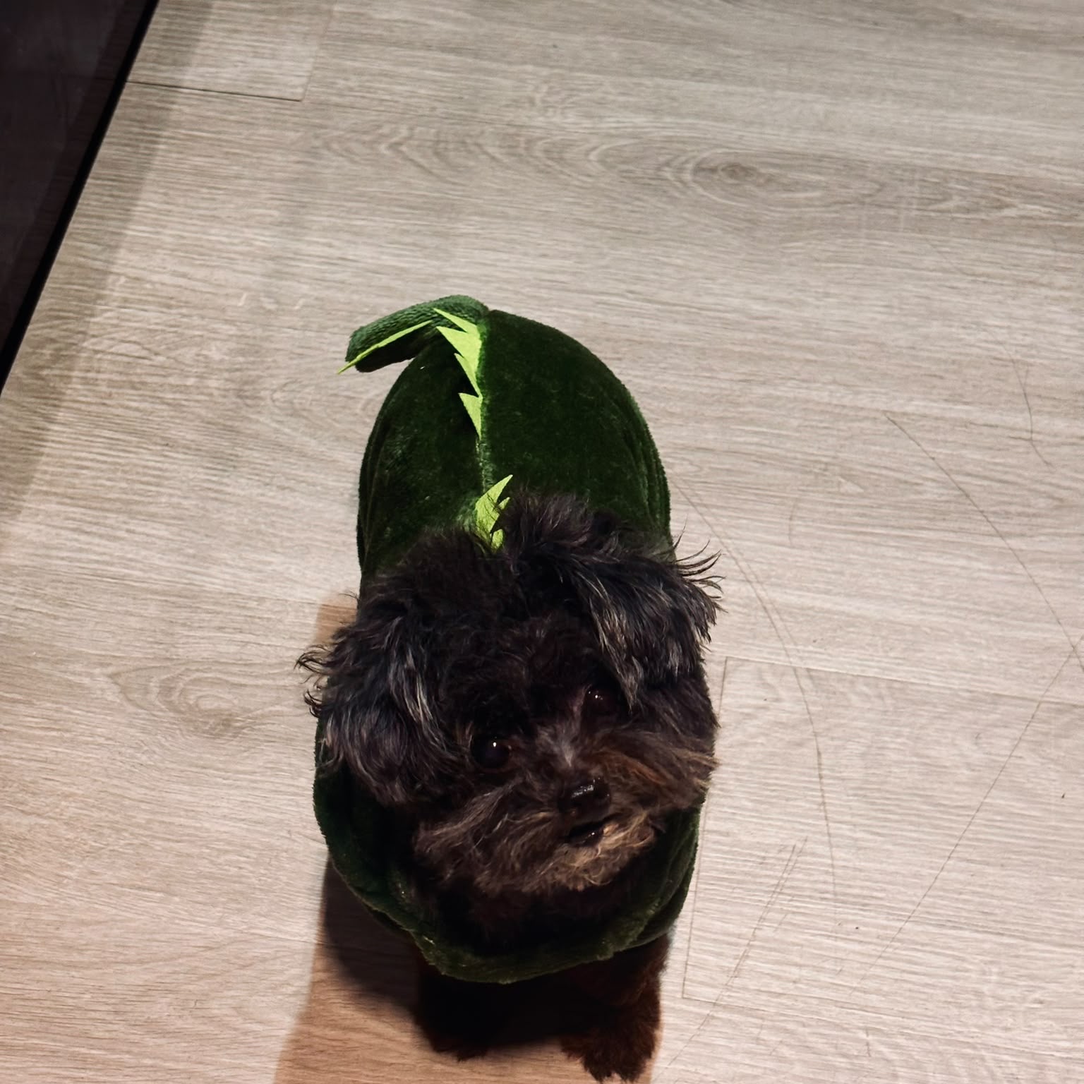 koko