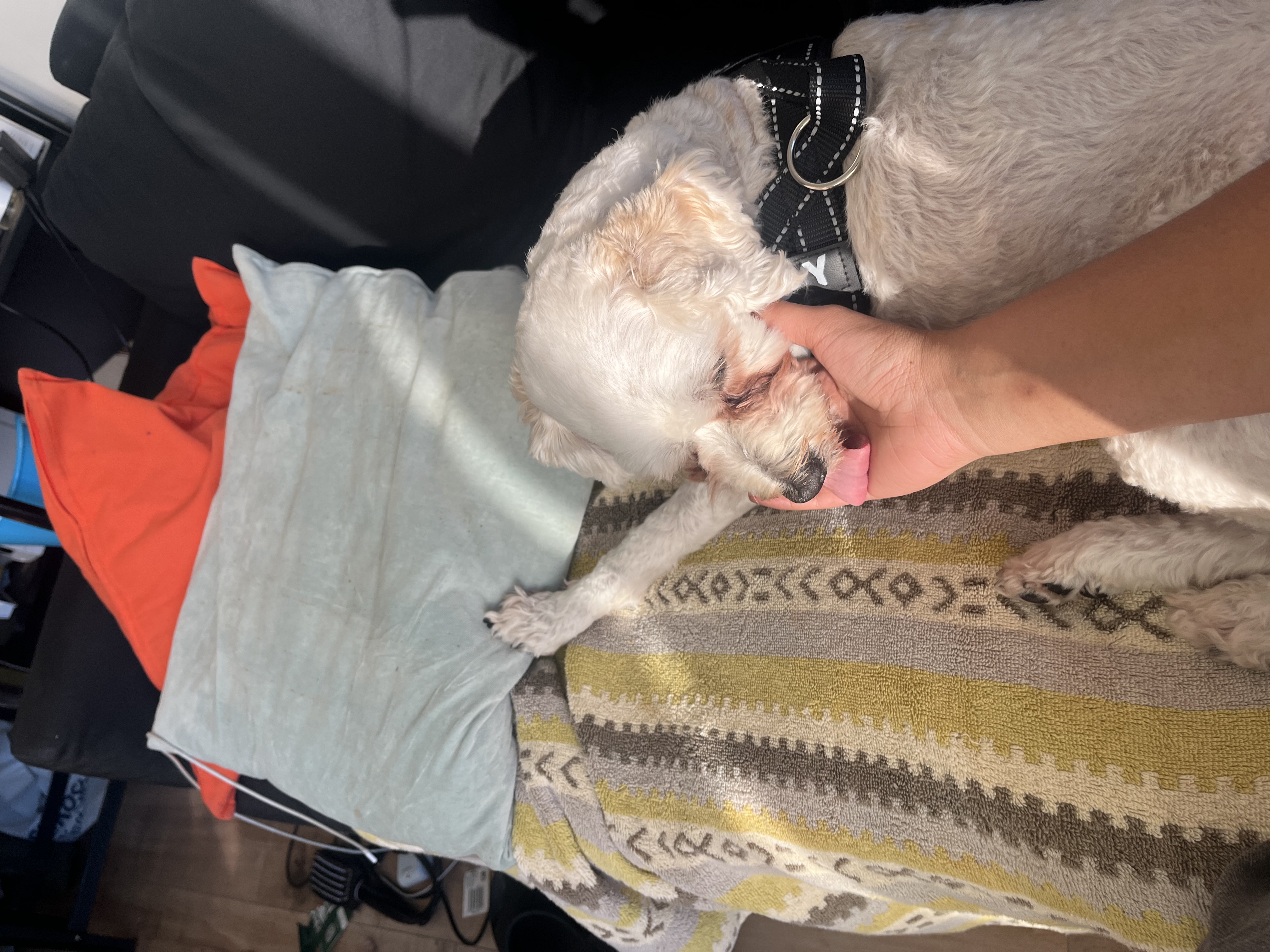 image-6