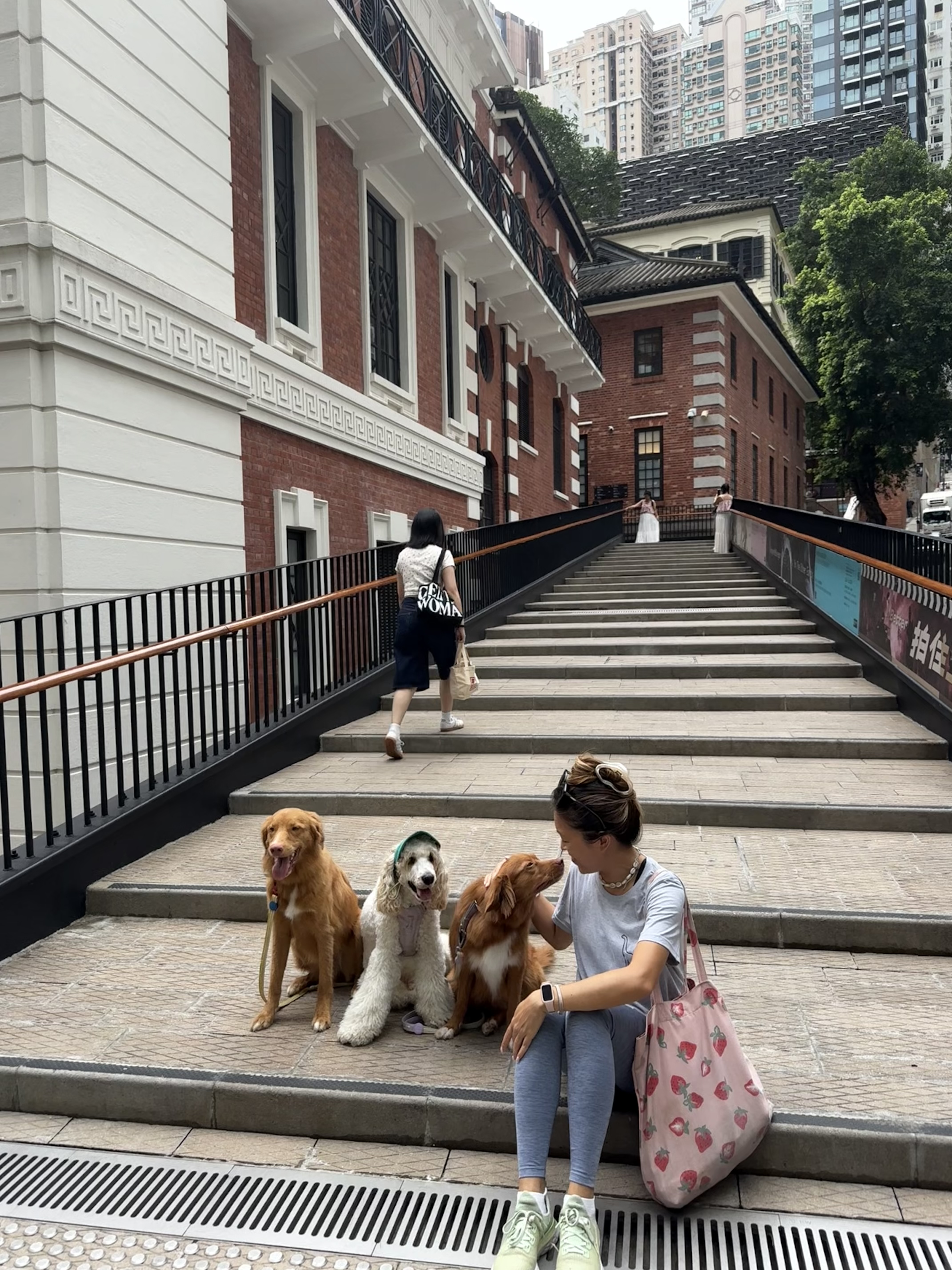 image-24