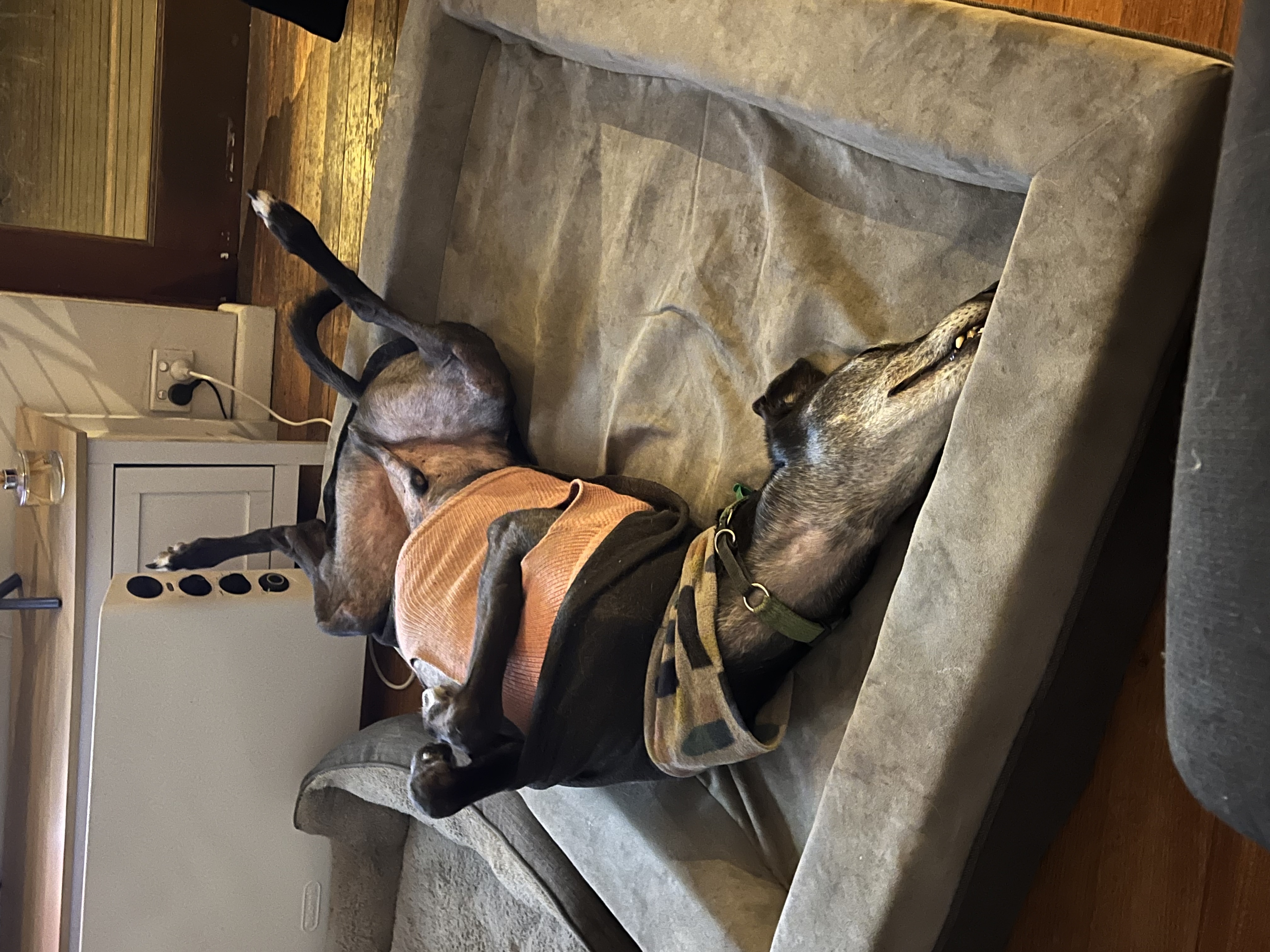 image-7
