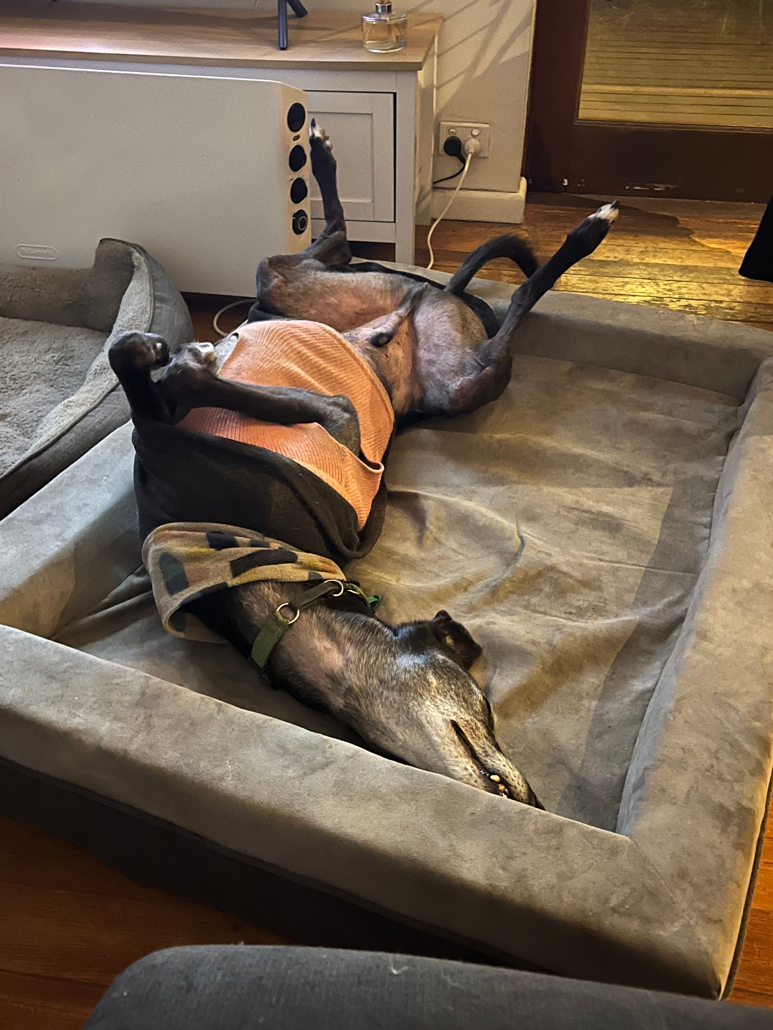 image-7
