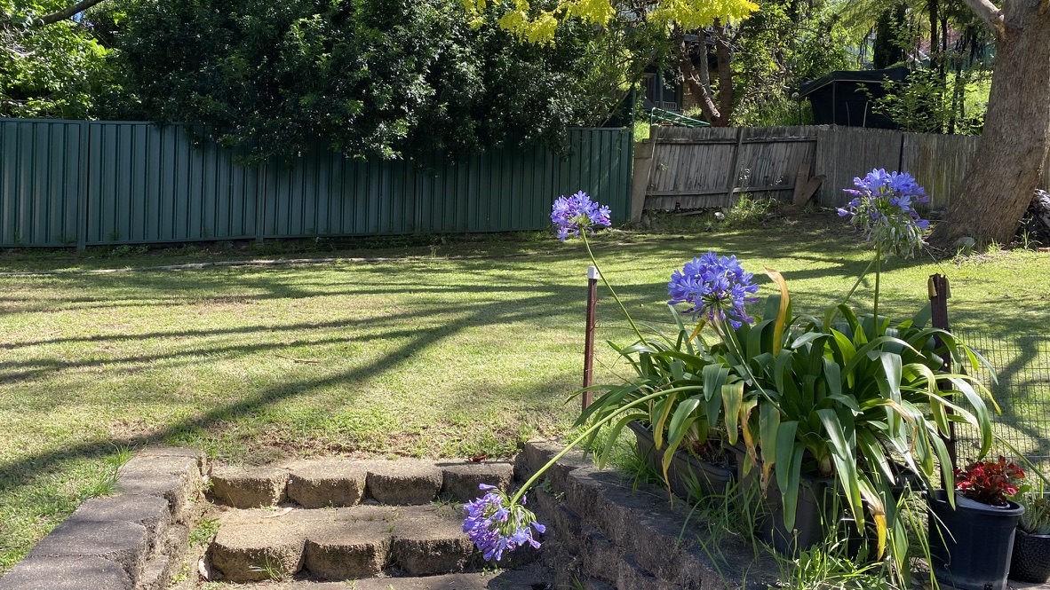 image-11