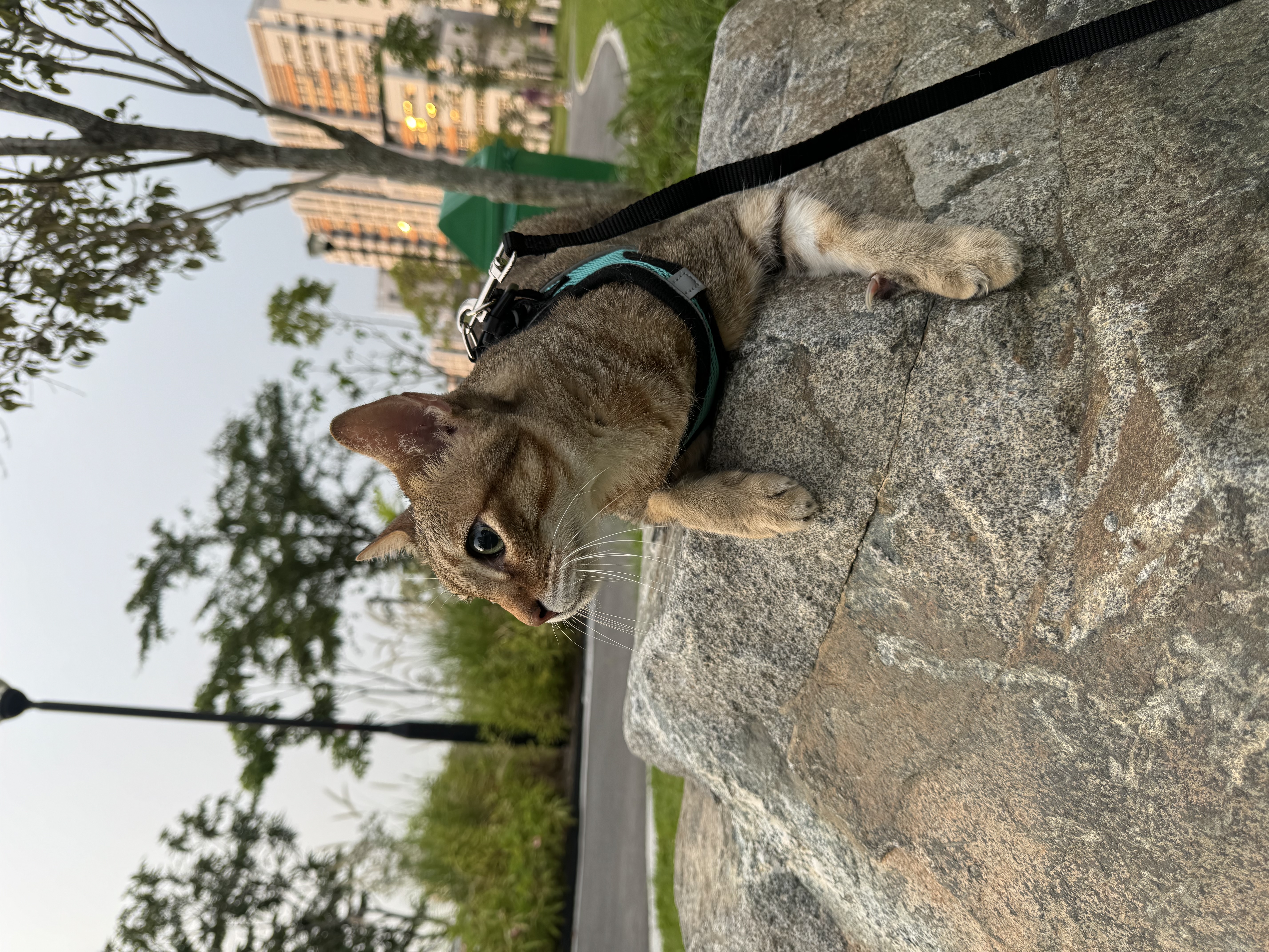 image-24