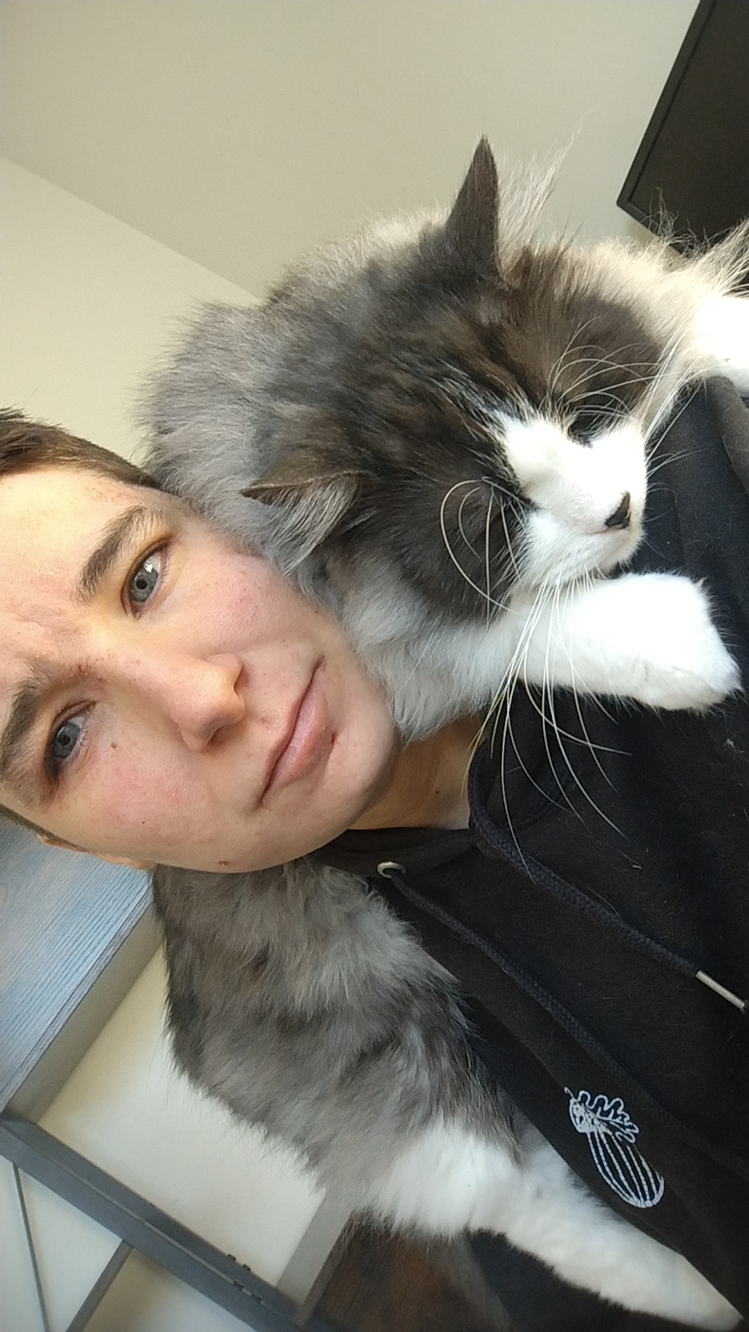 image-4