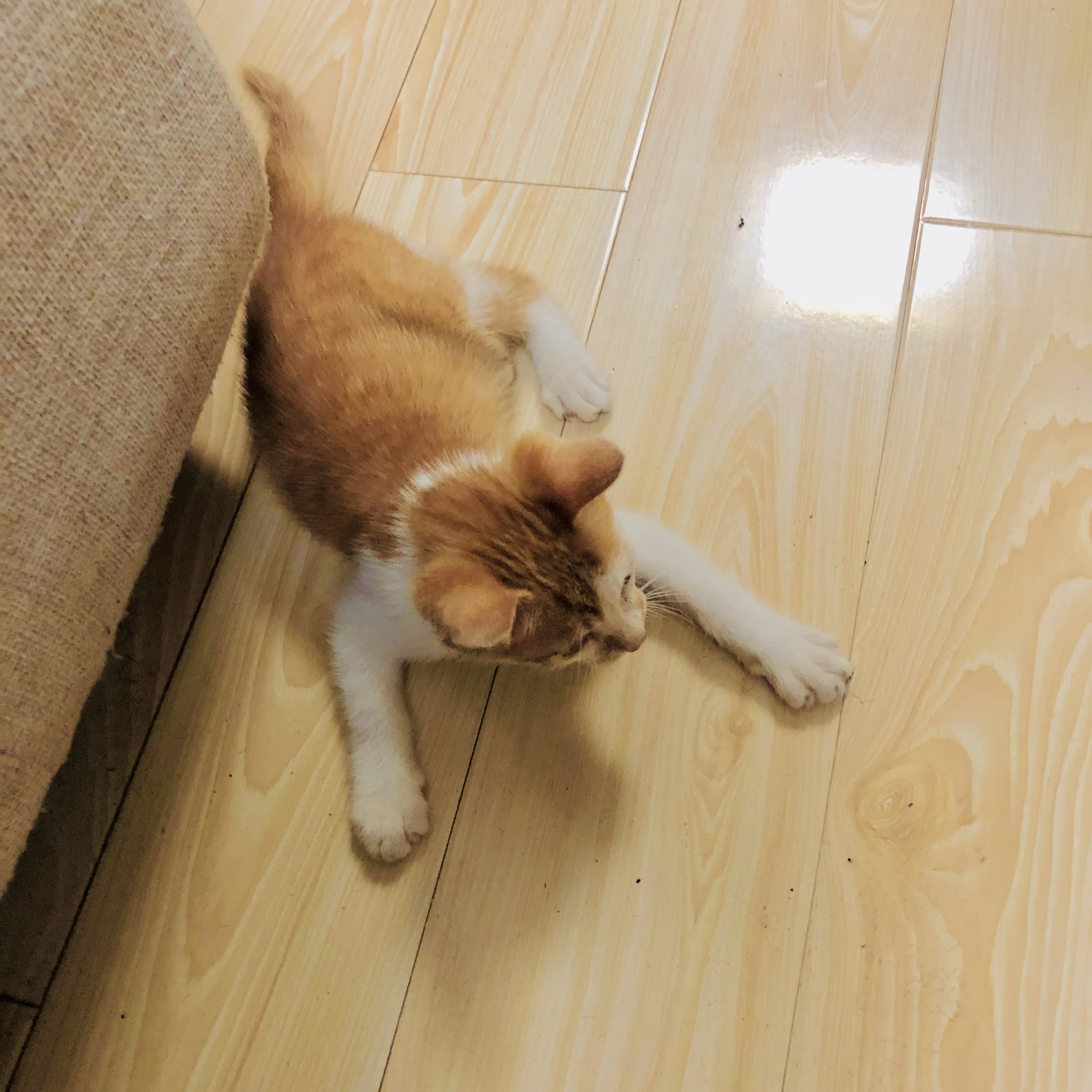 Wubai