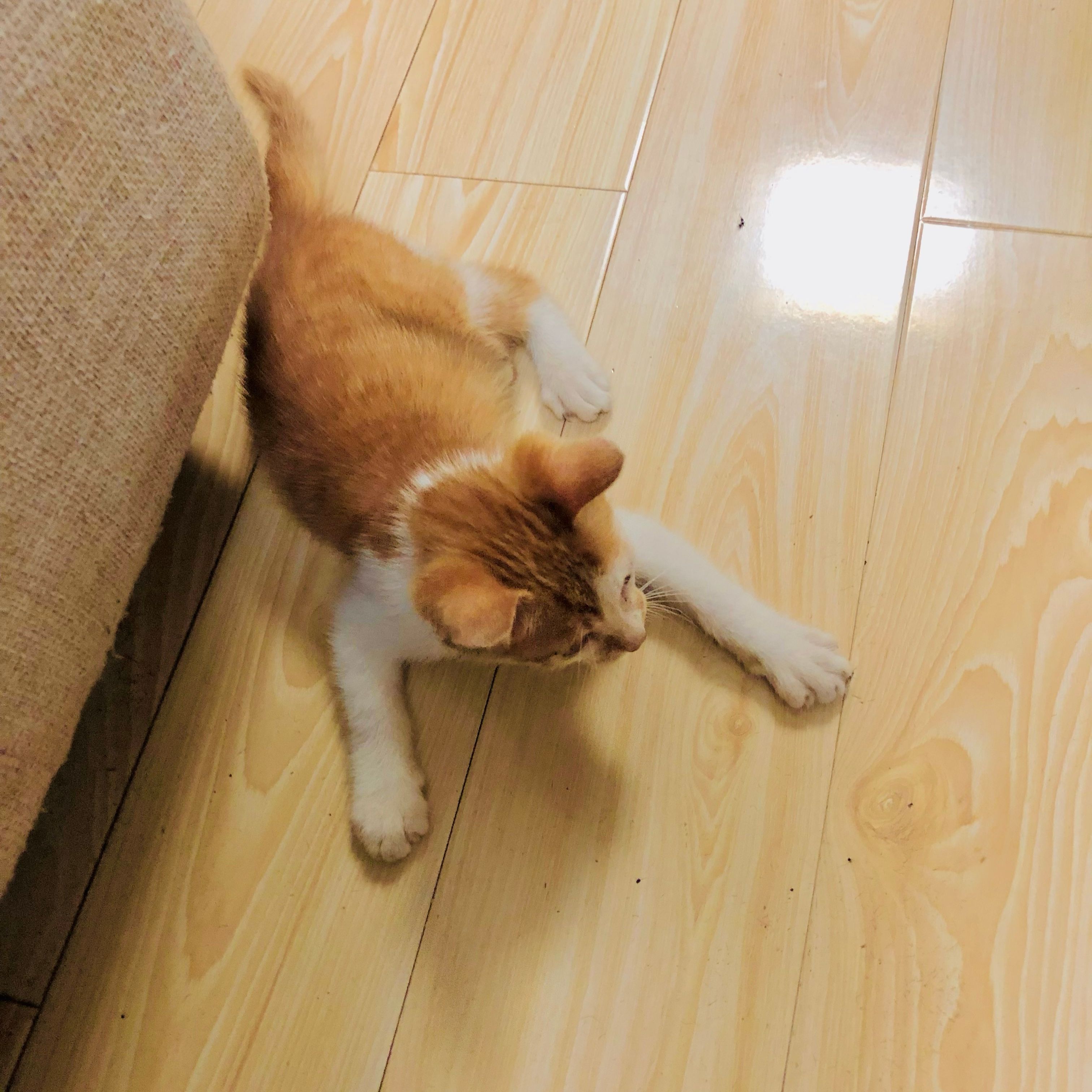 Wubai