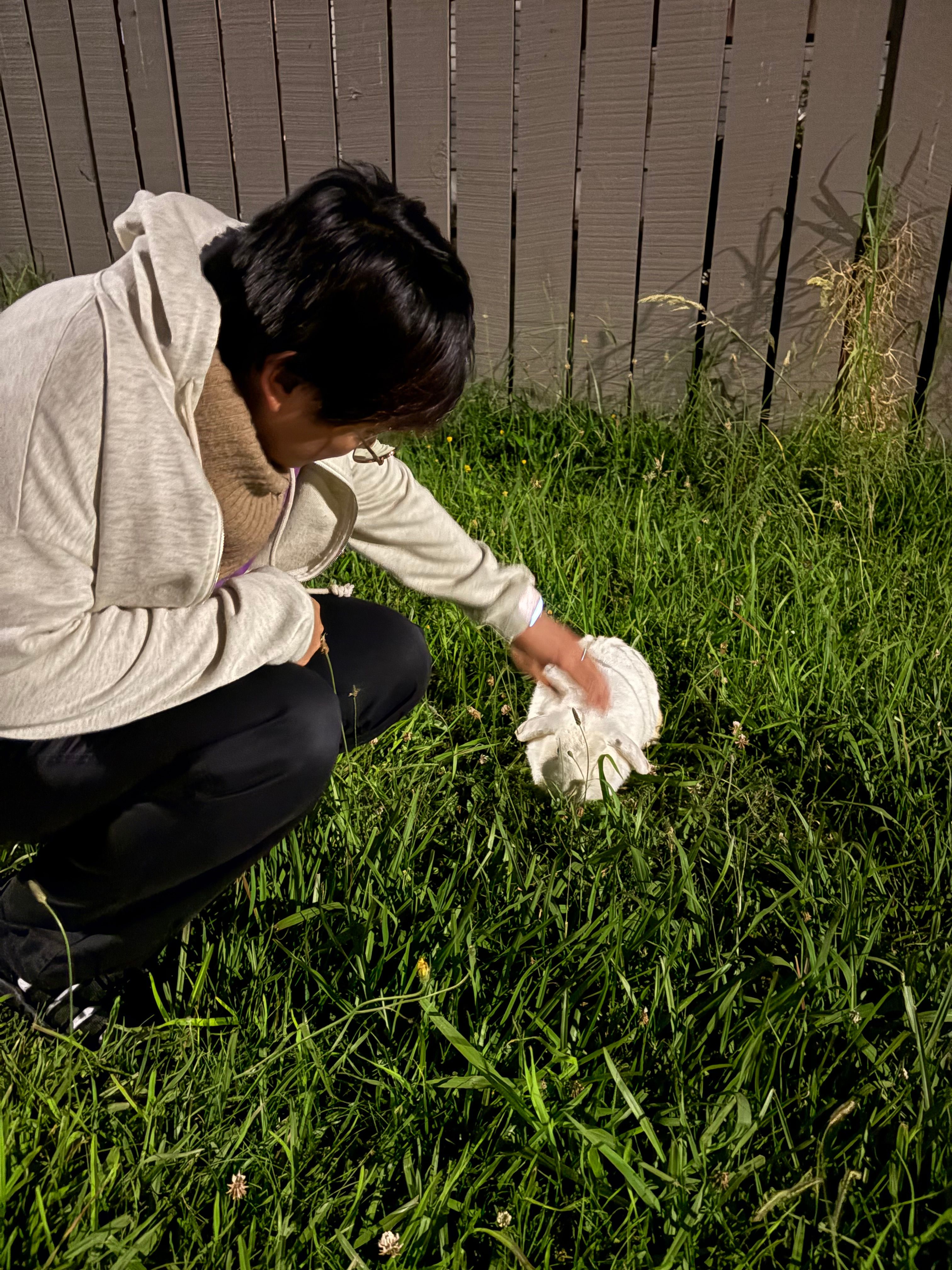 image-8