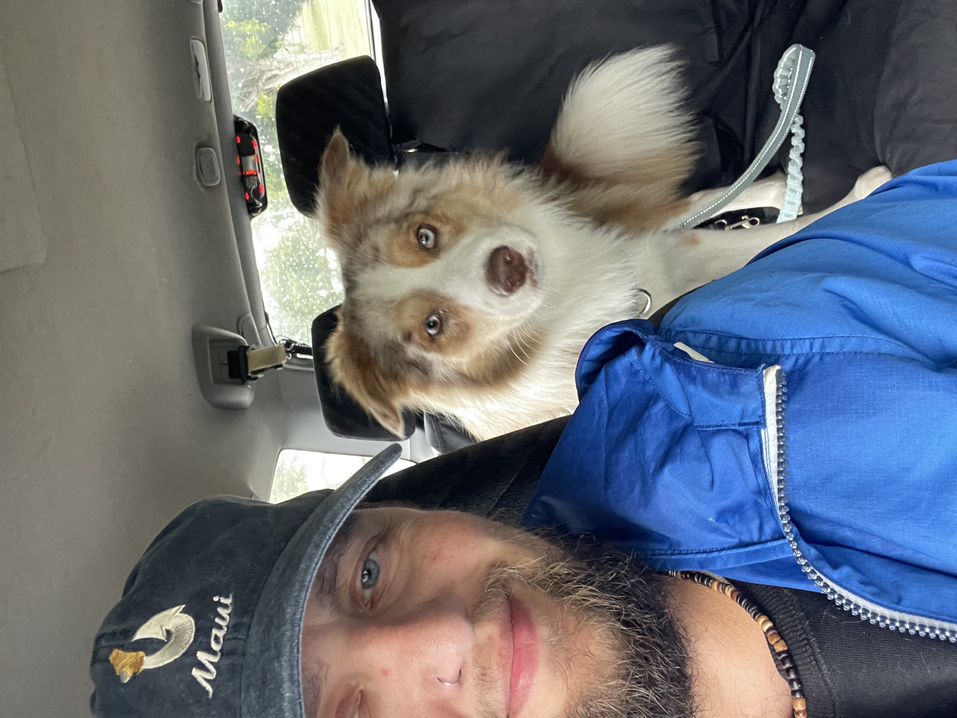 image-8