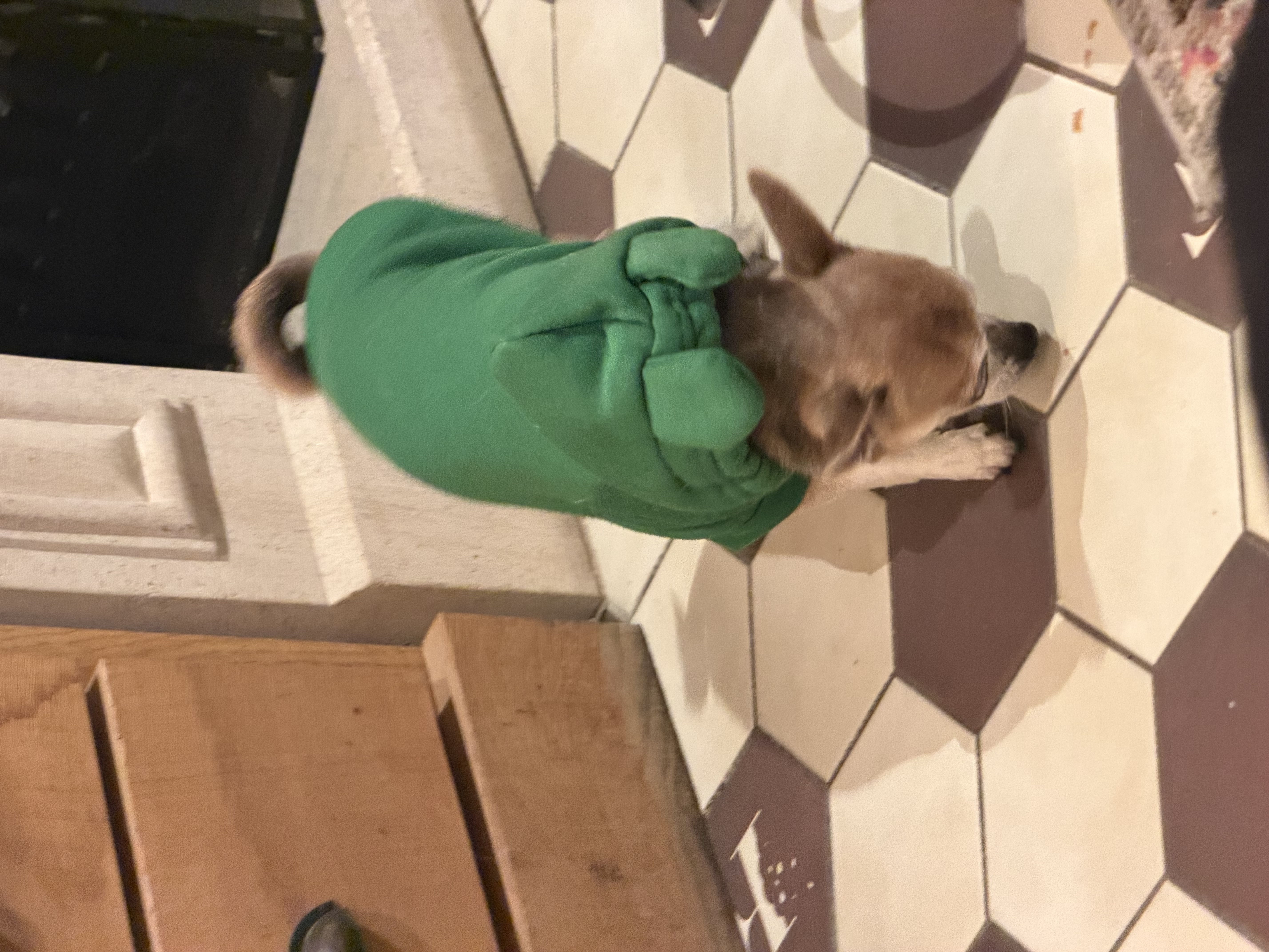 image-6
