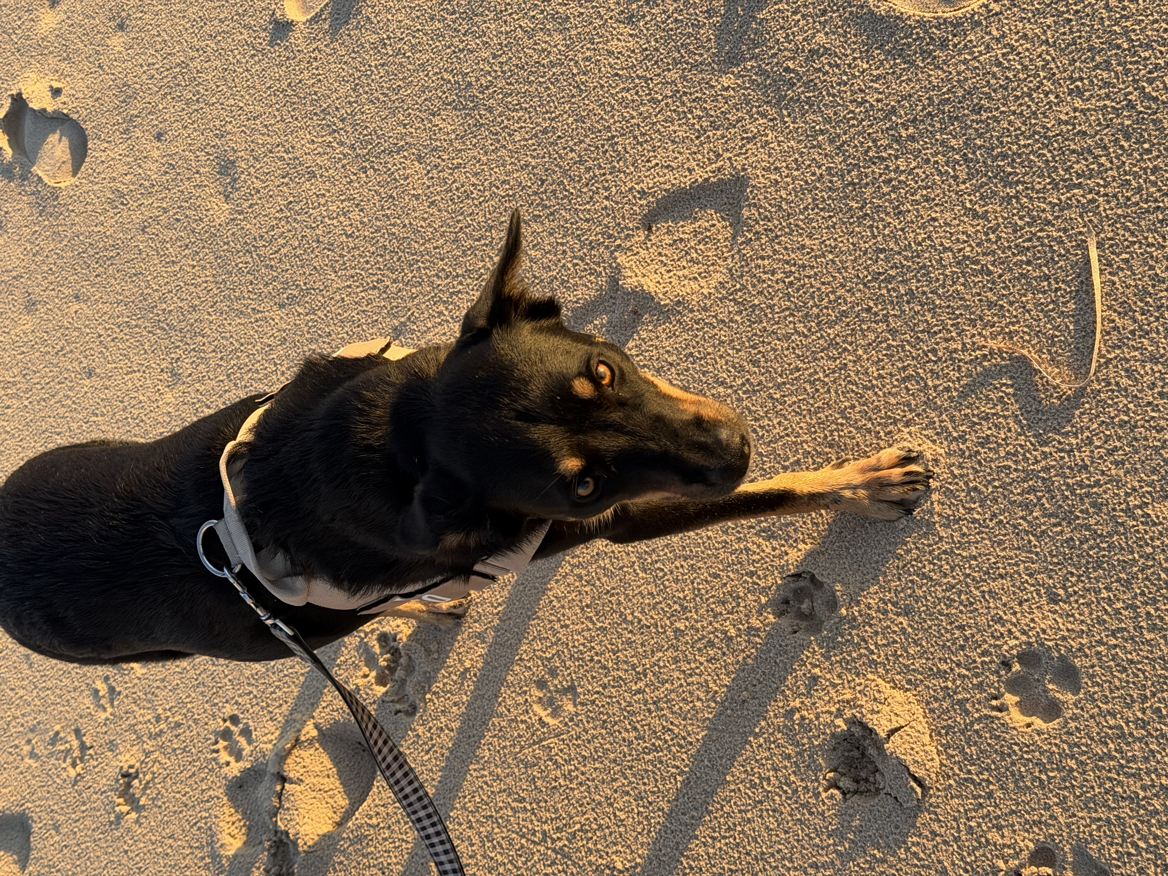 image-7