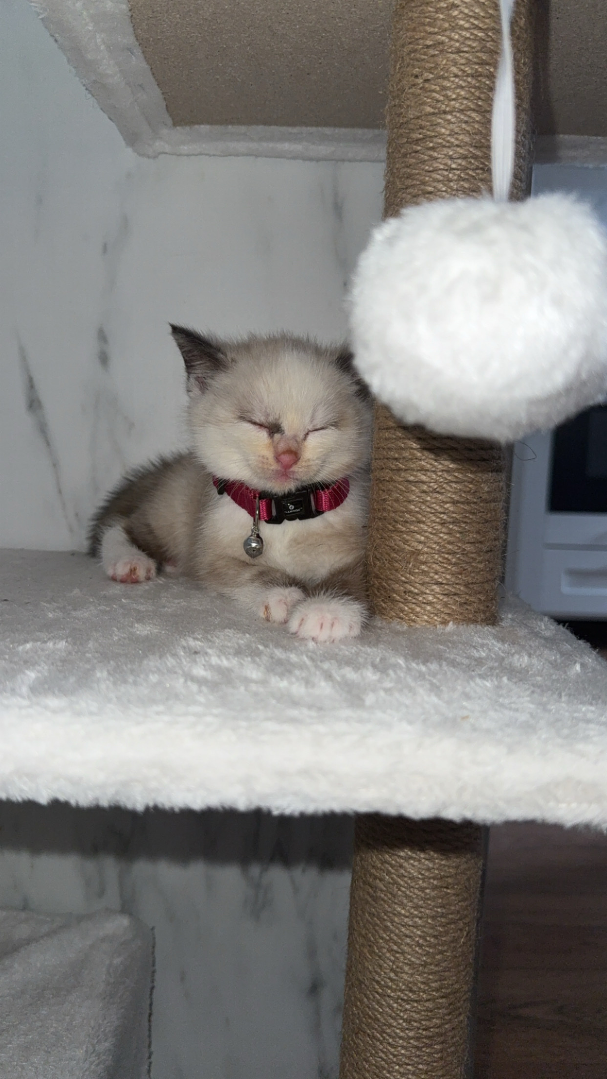 image-2