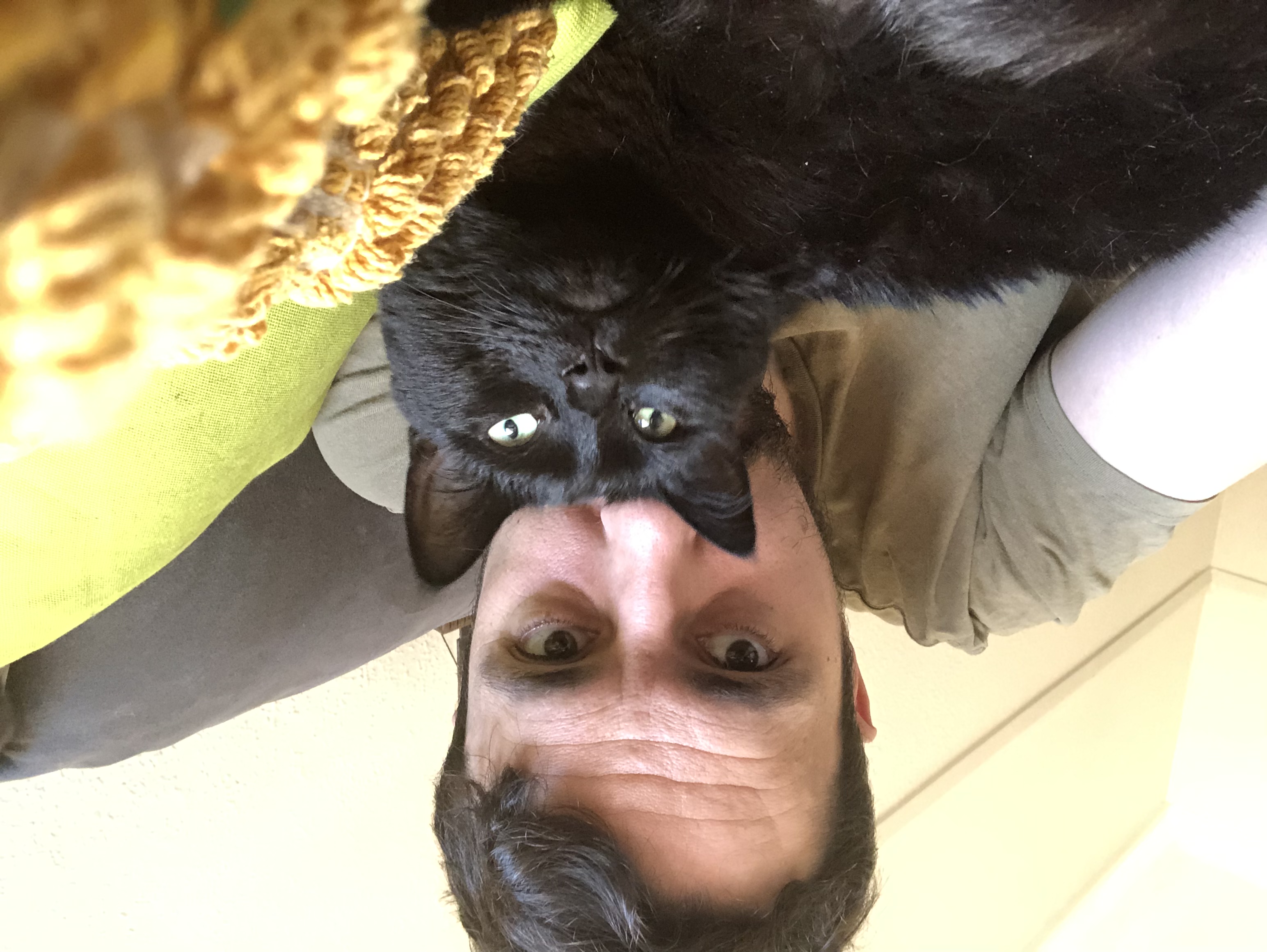 image-8