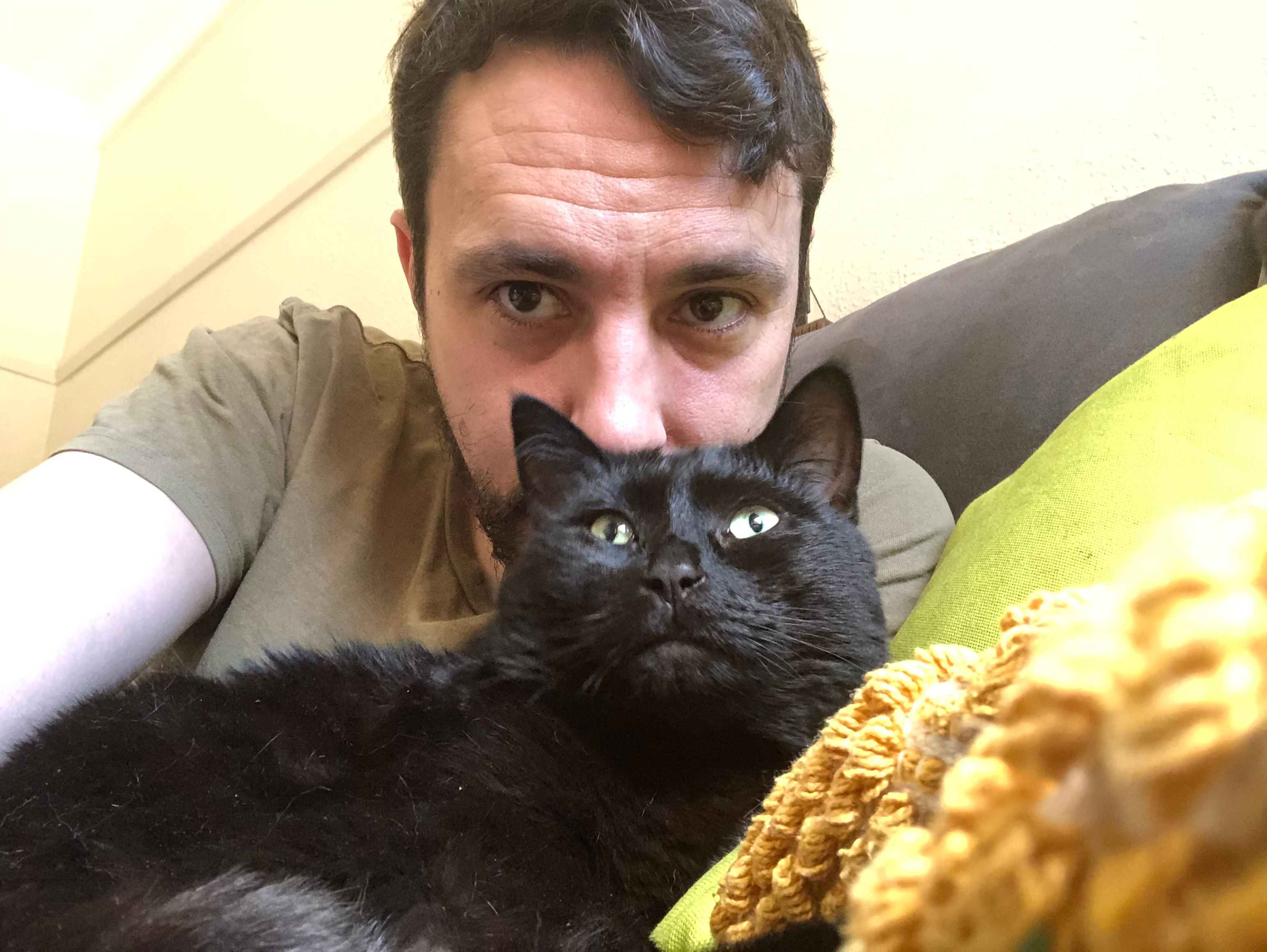image-8