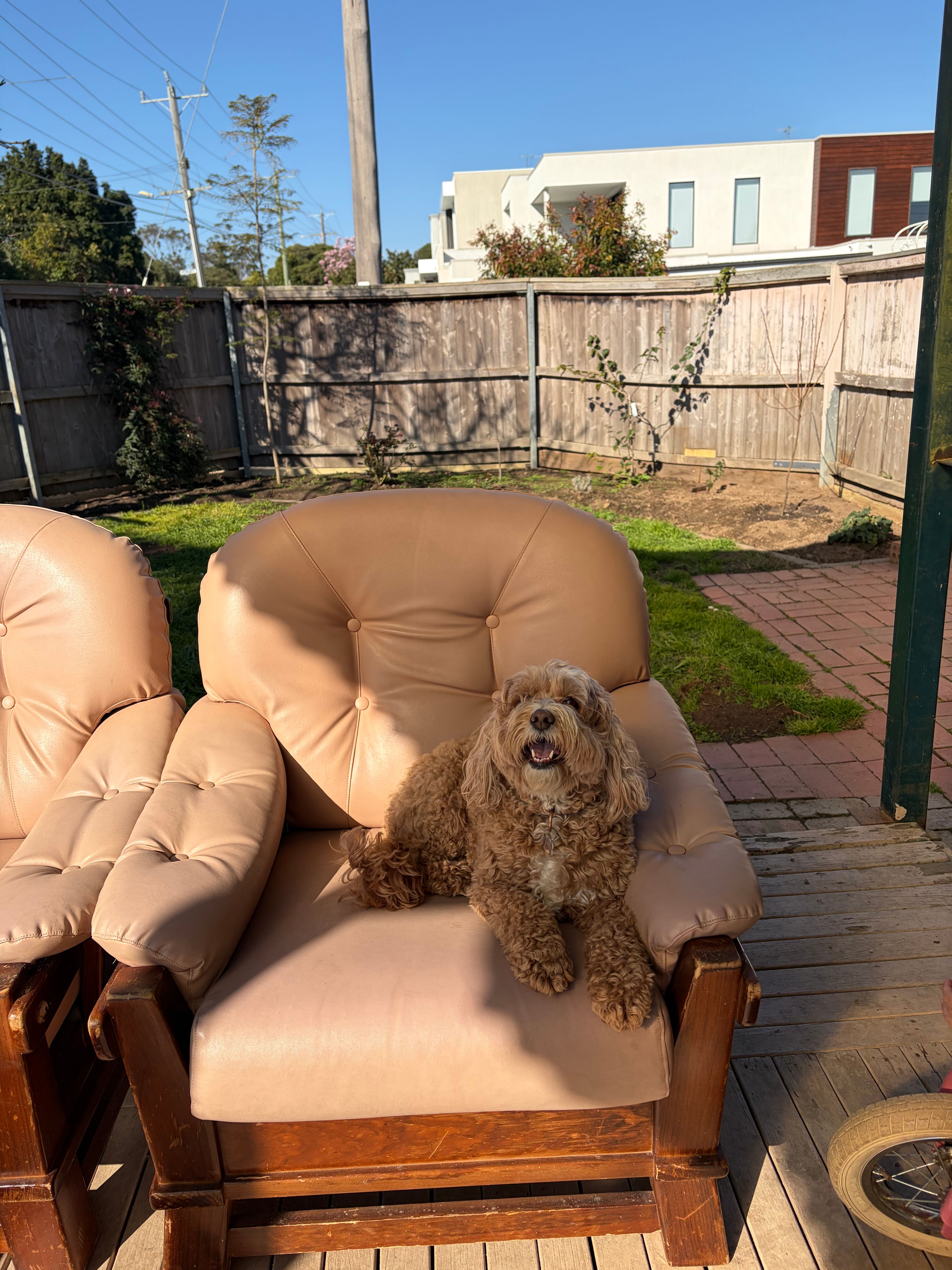 image-28