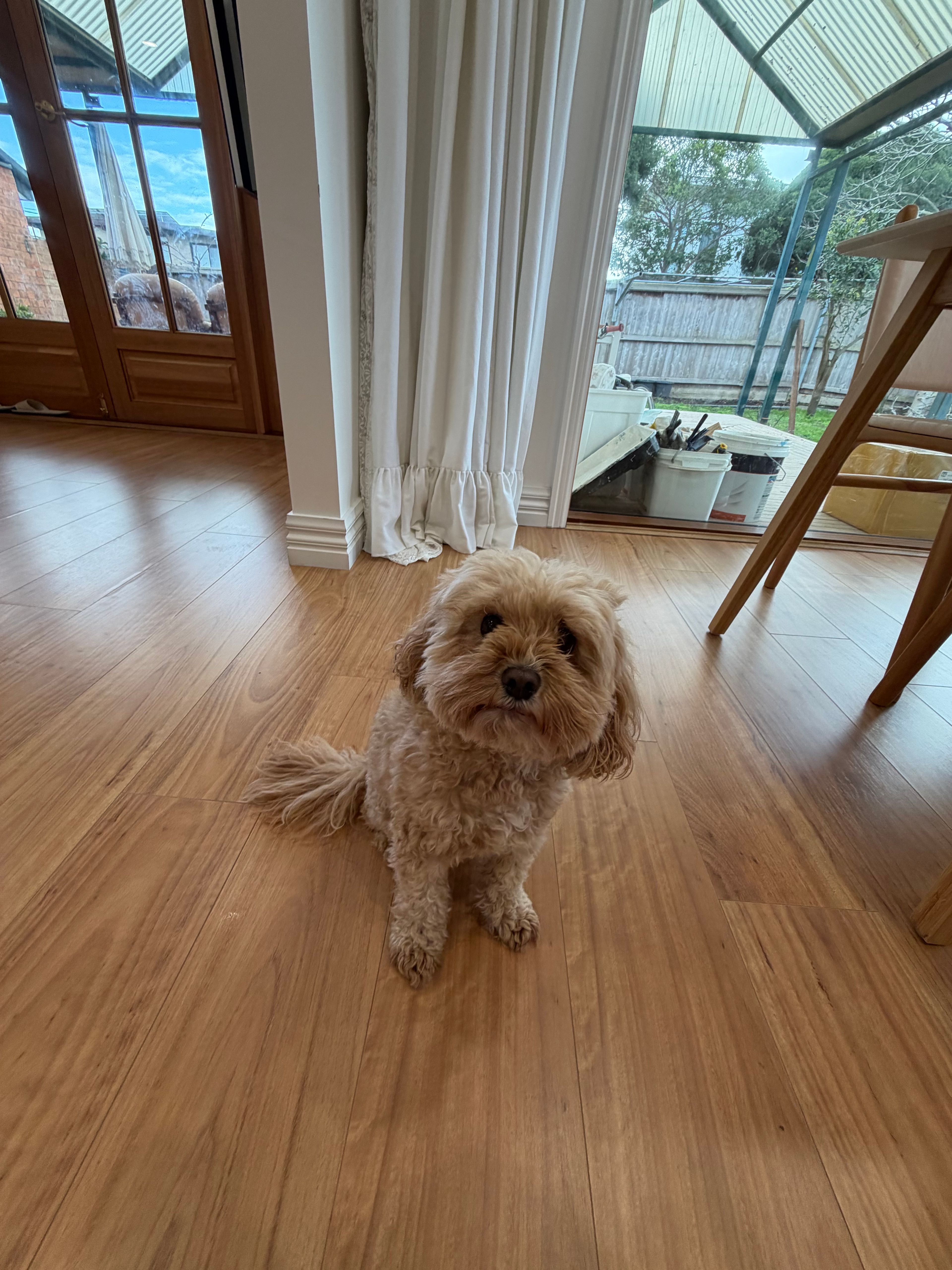 image-28