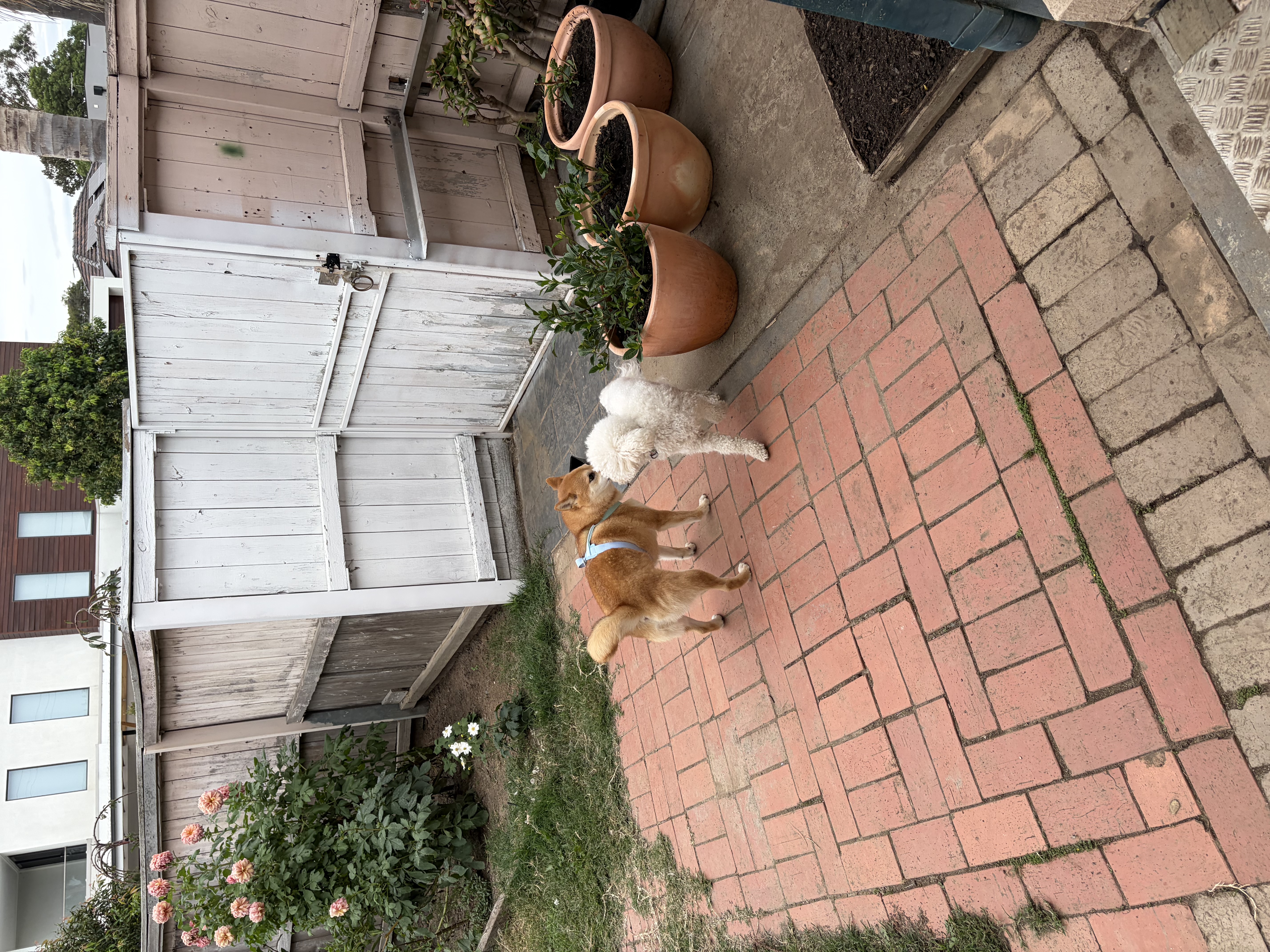 image-20
