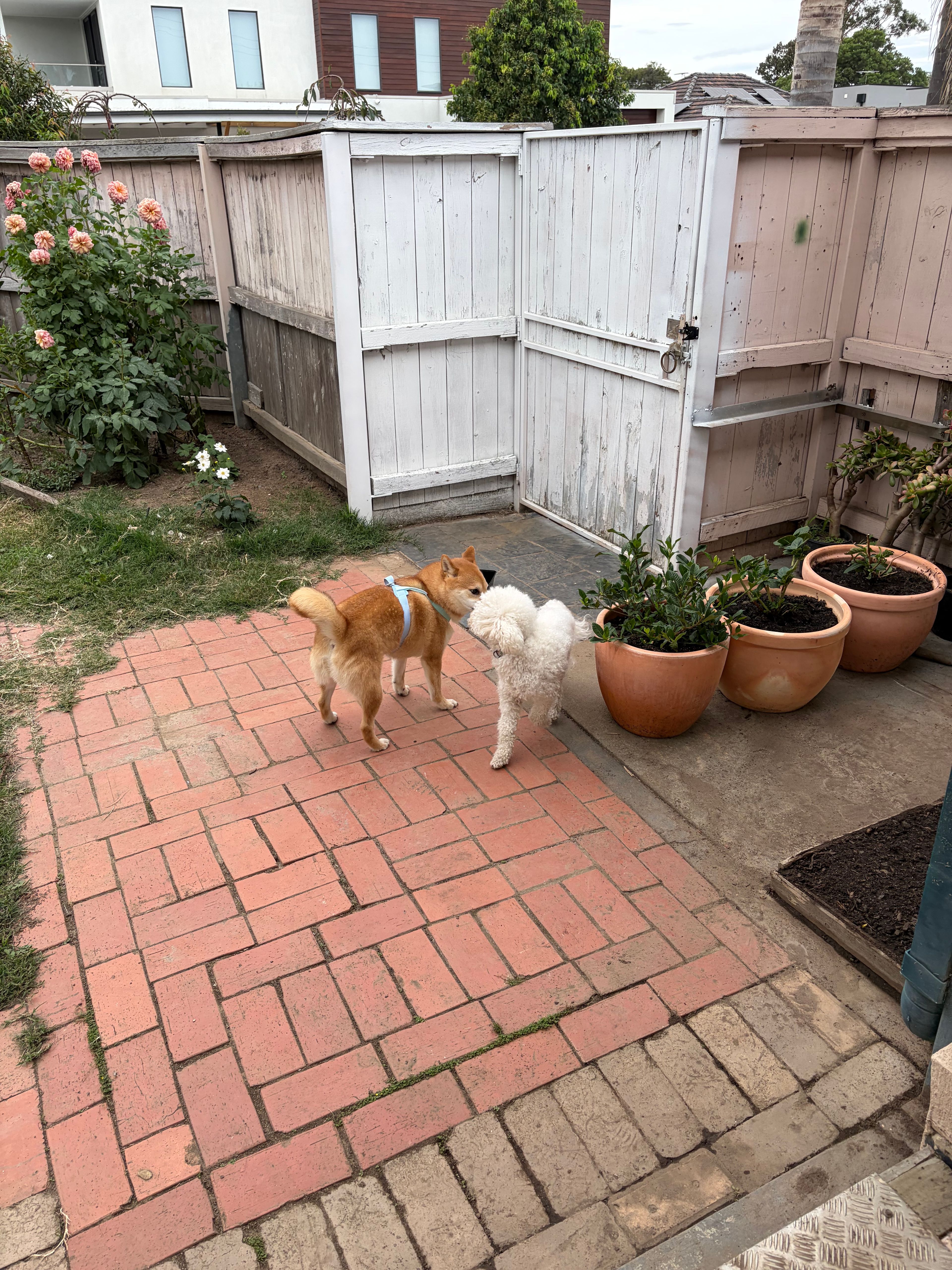 image-20