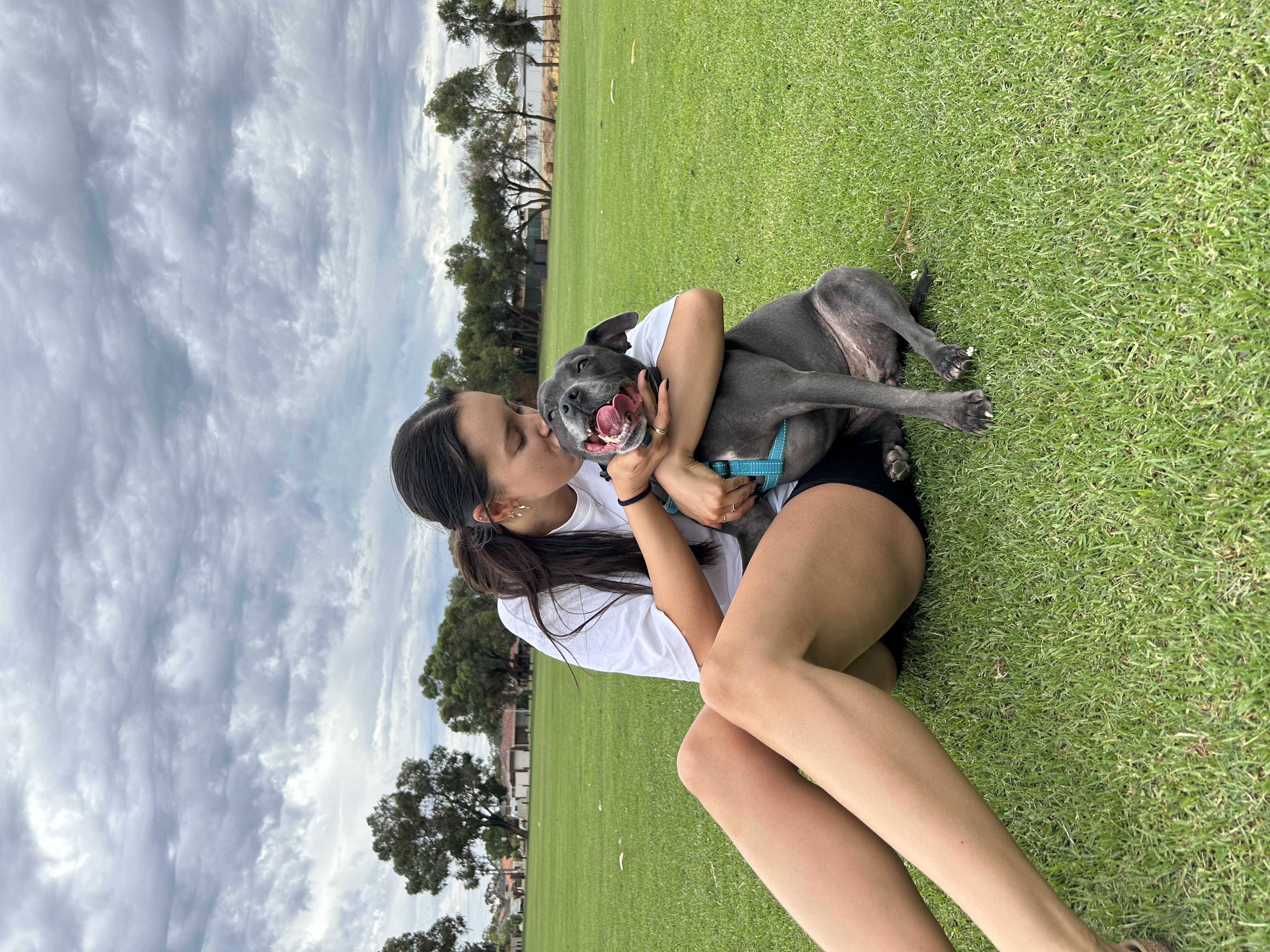 image-5