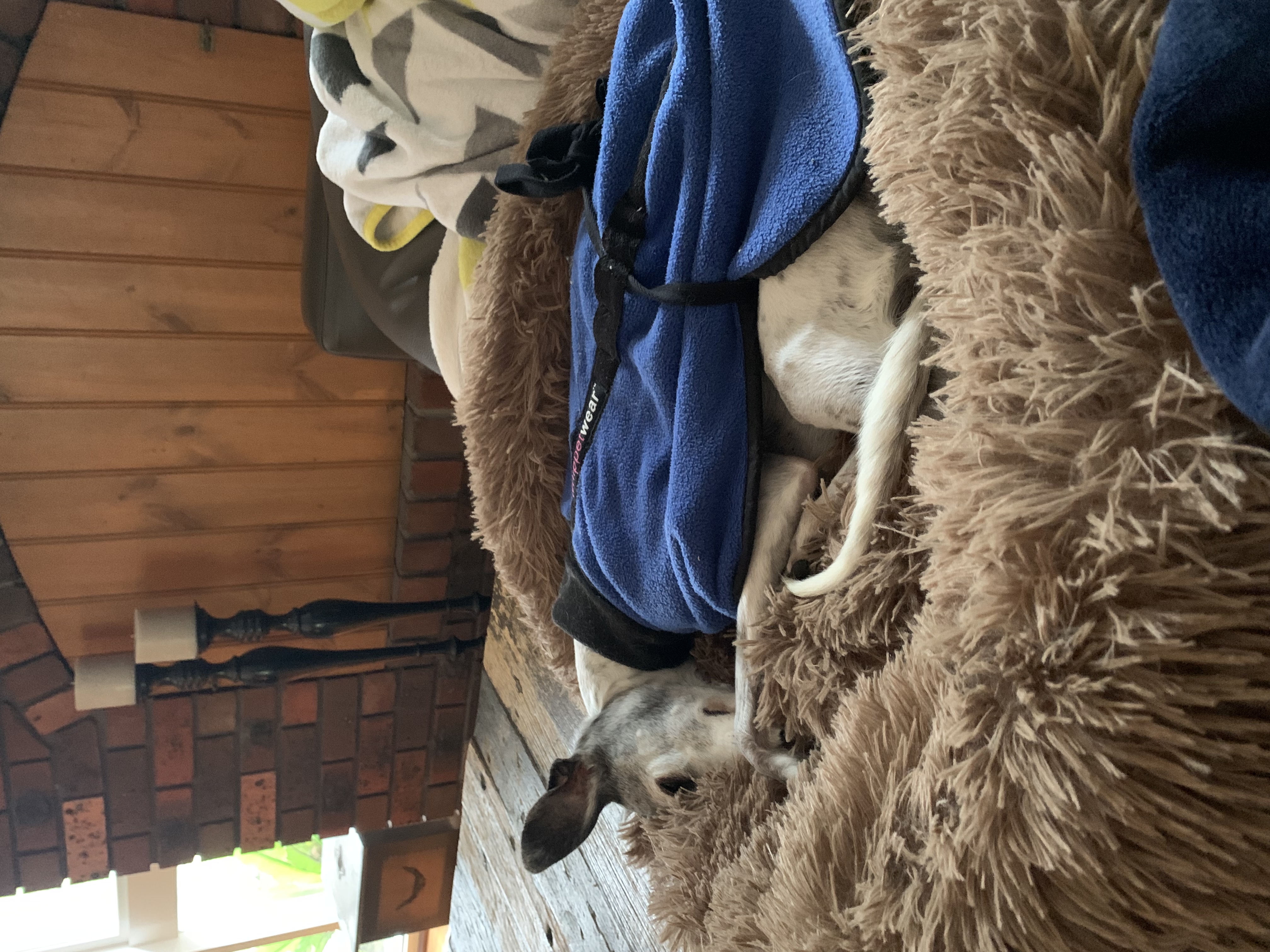 image-15