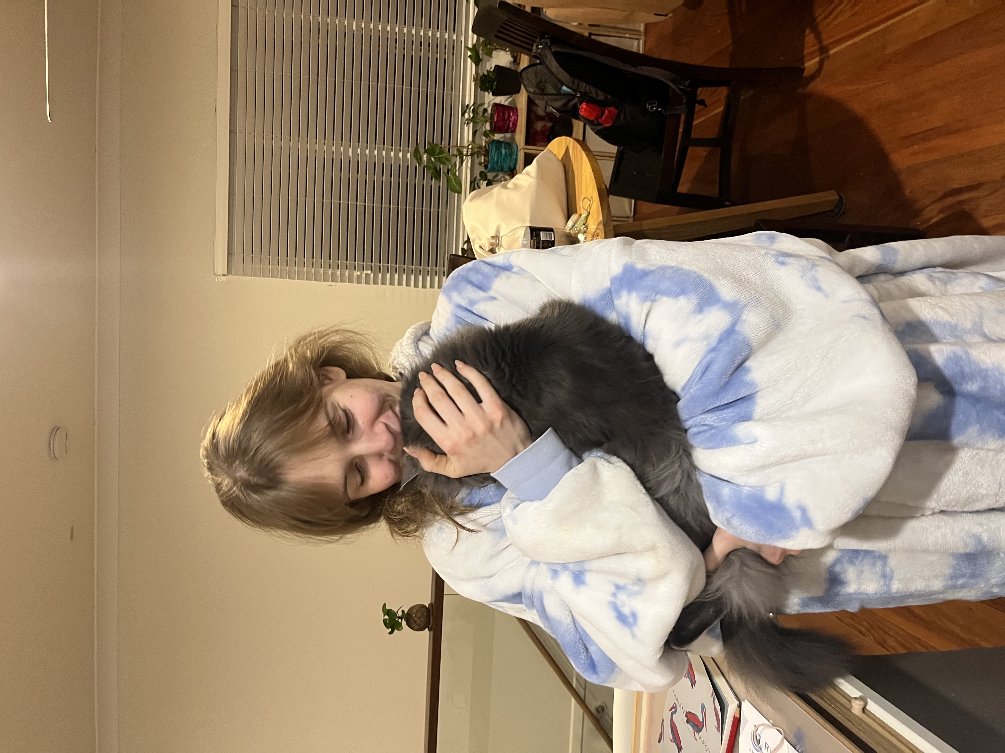 image-7