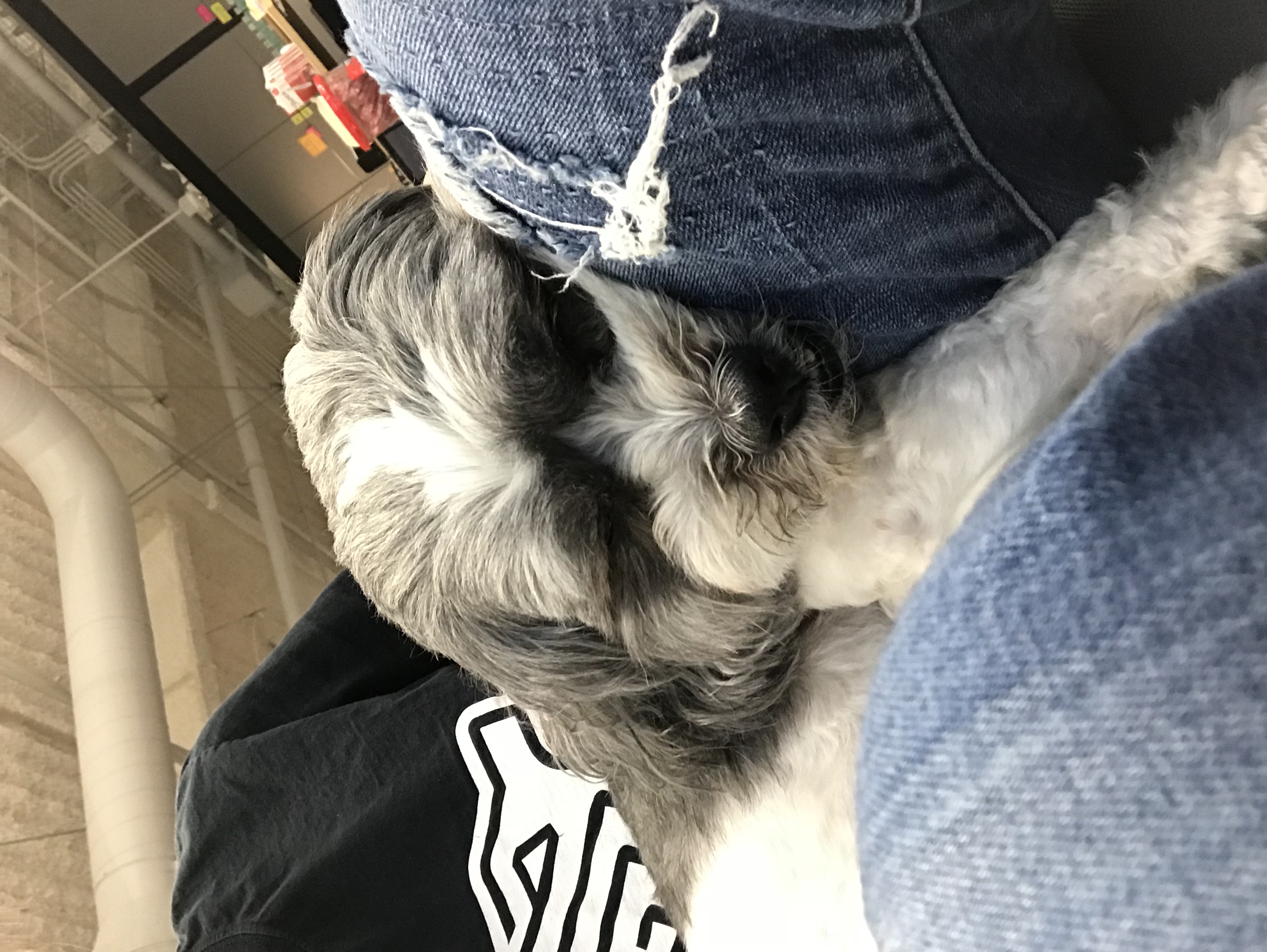 image-8