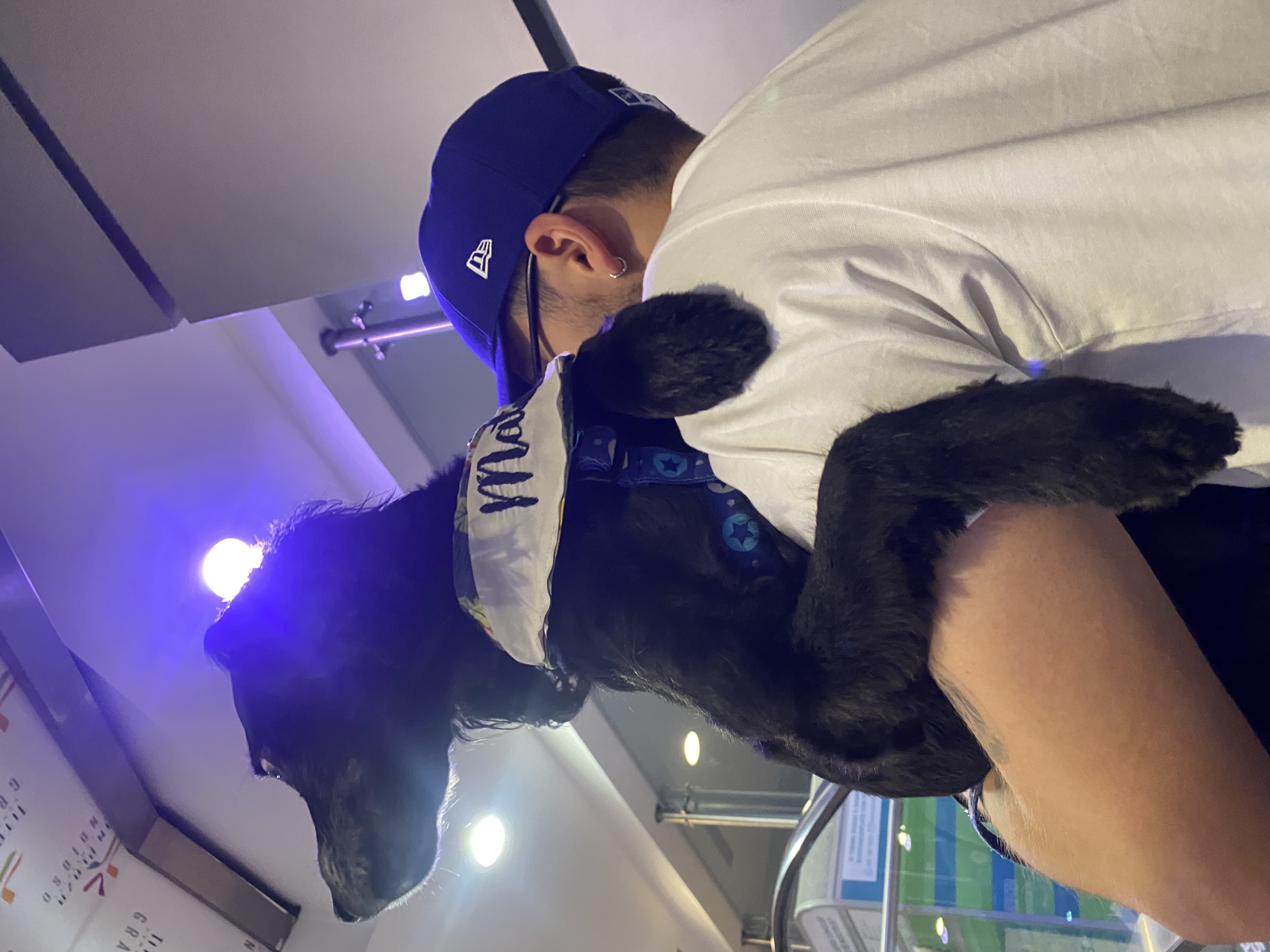 image-8