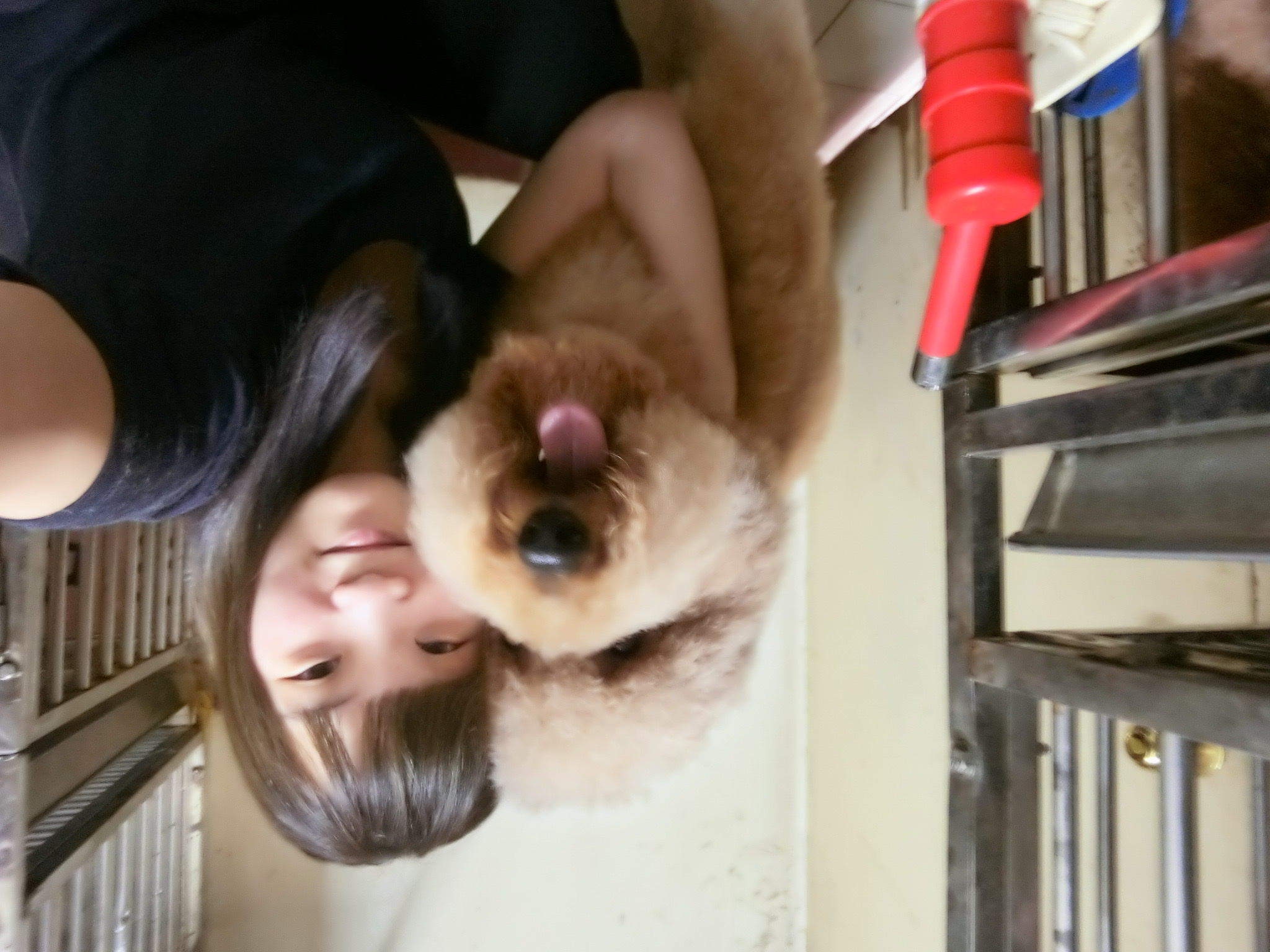 image-6