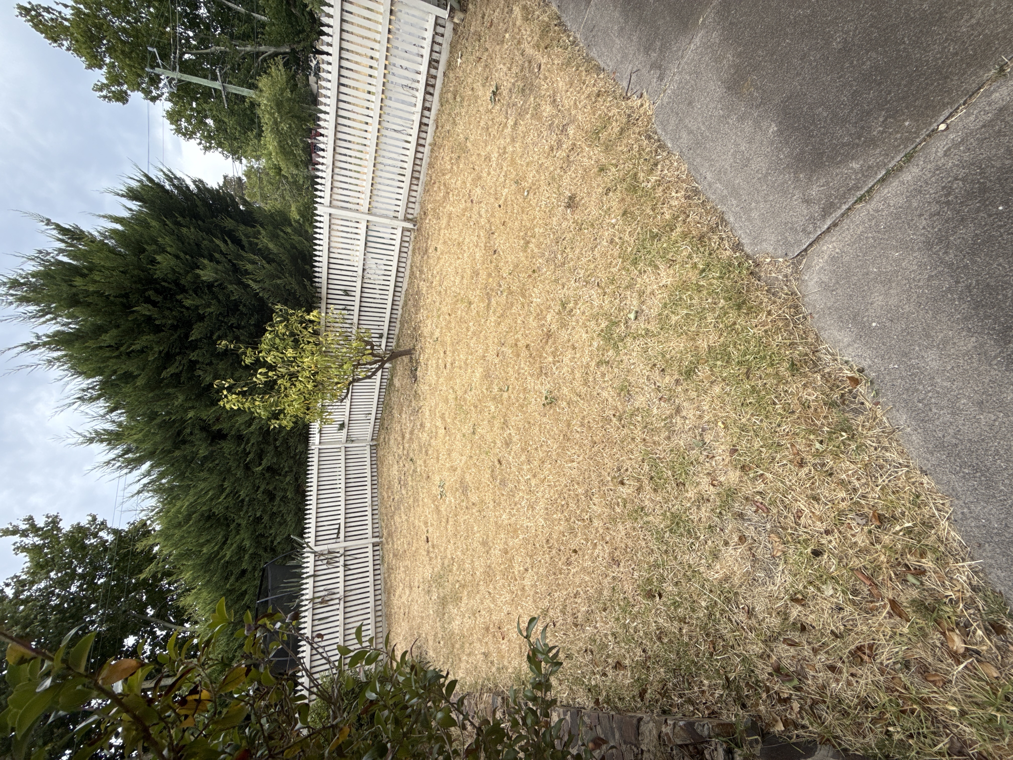 image-17