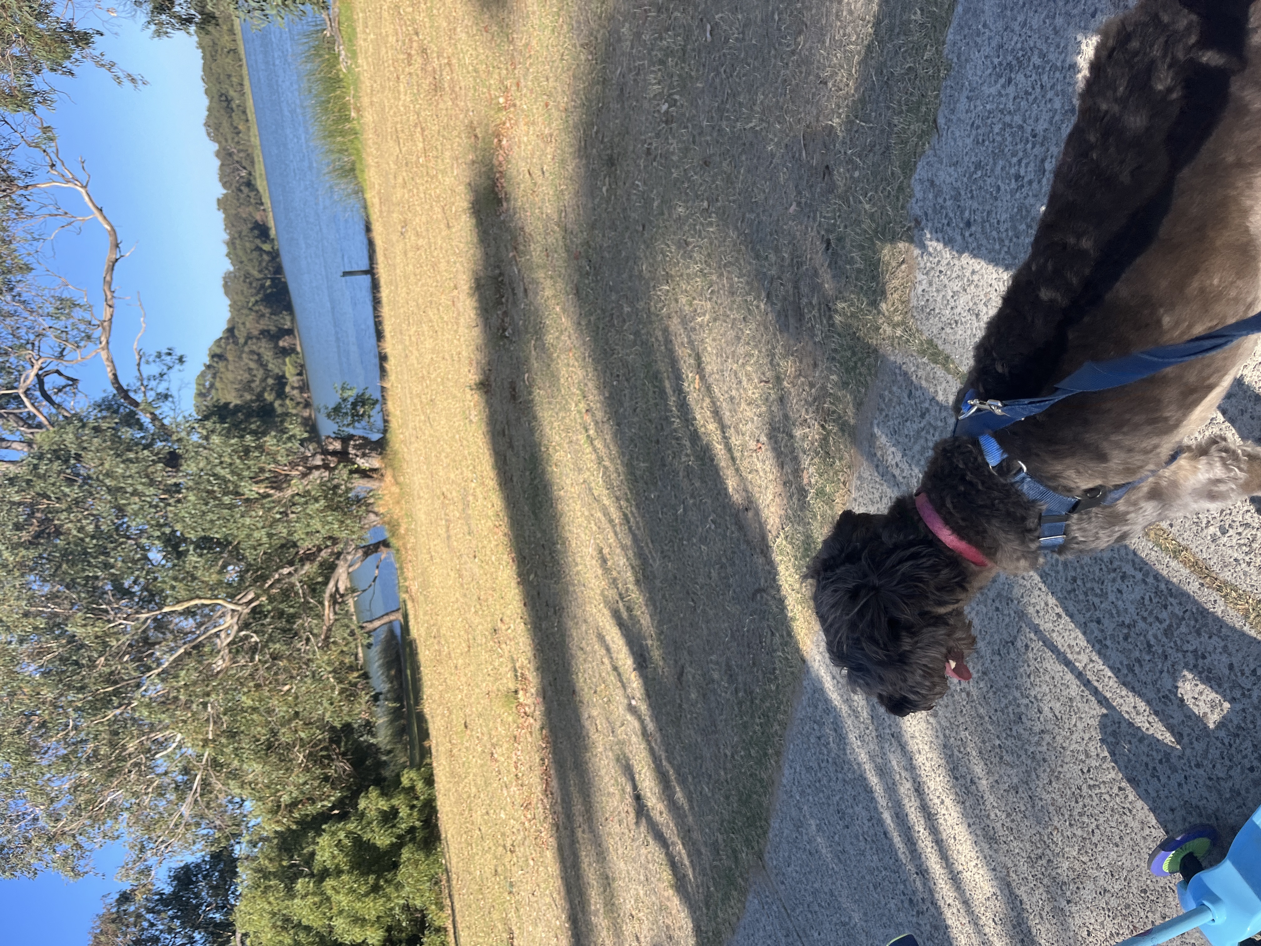 image-17