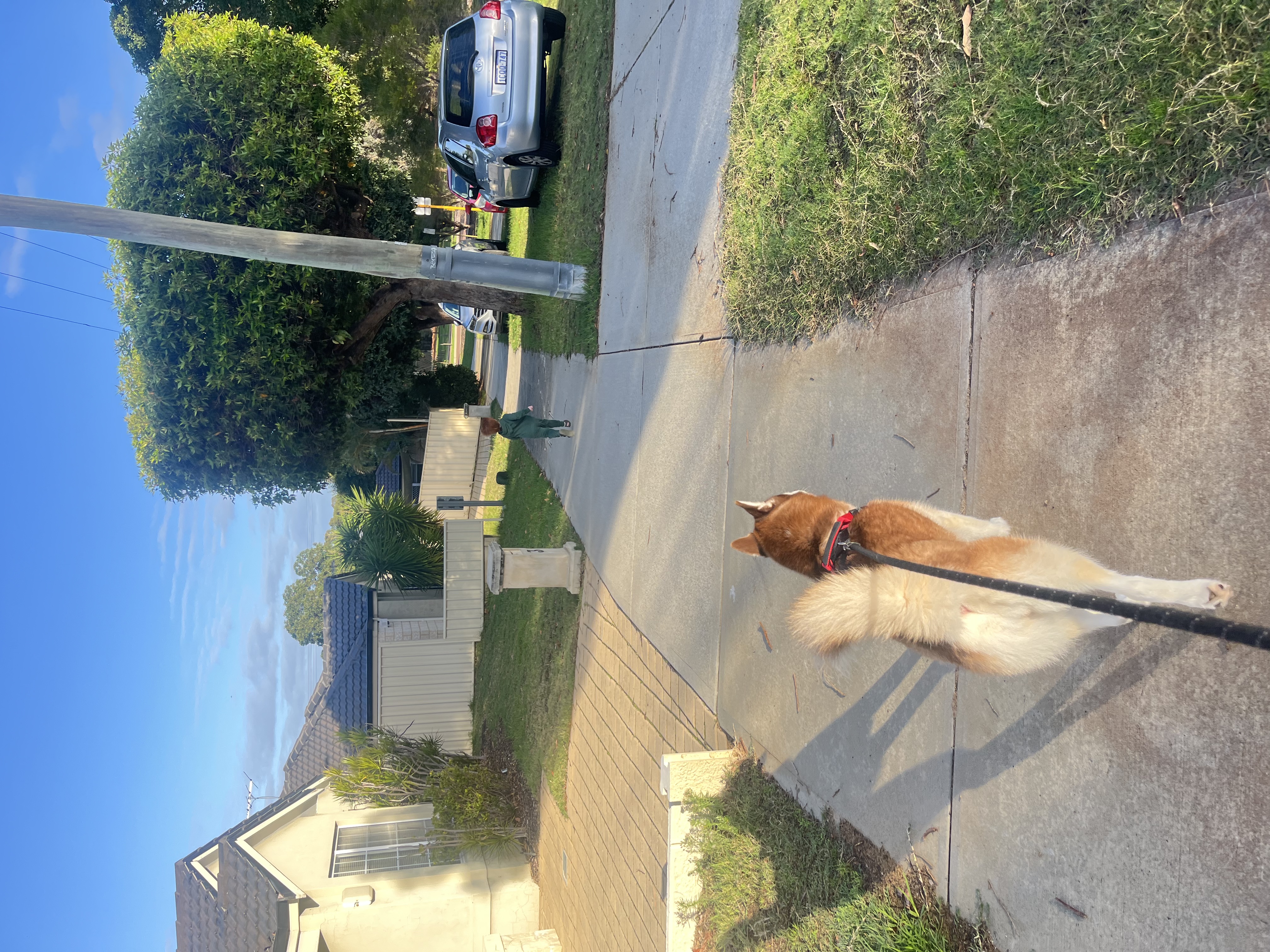 image-12