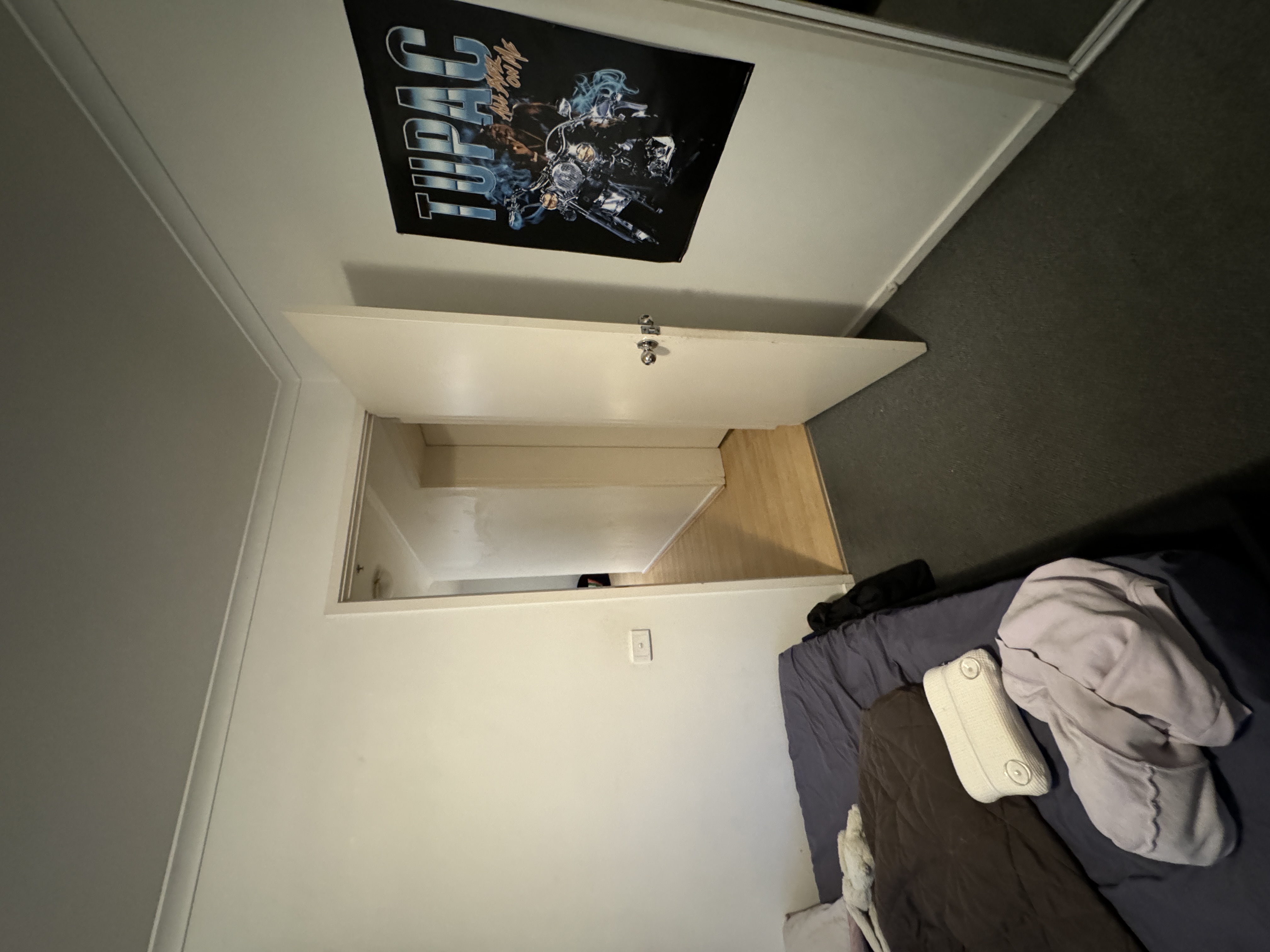 image-19