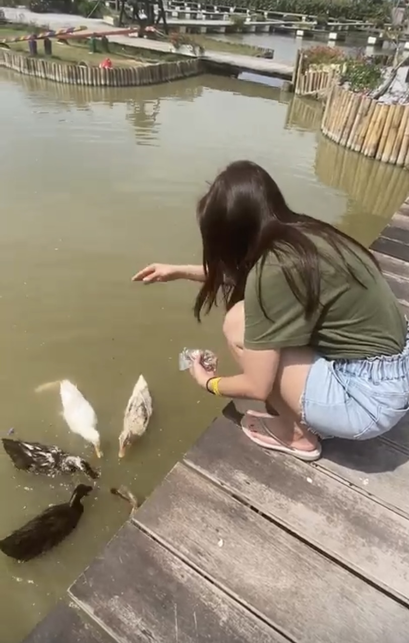 image-0