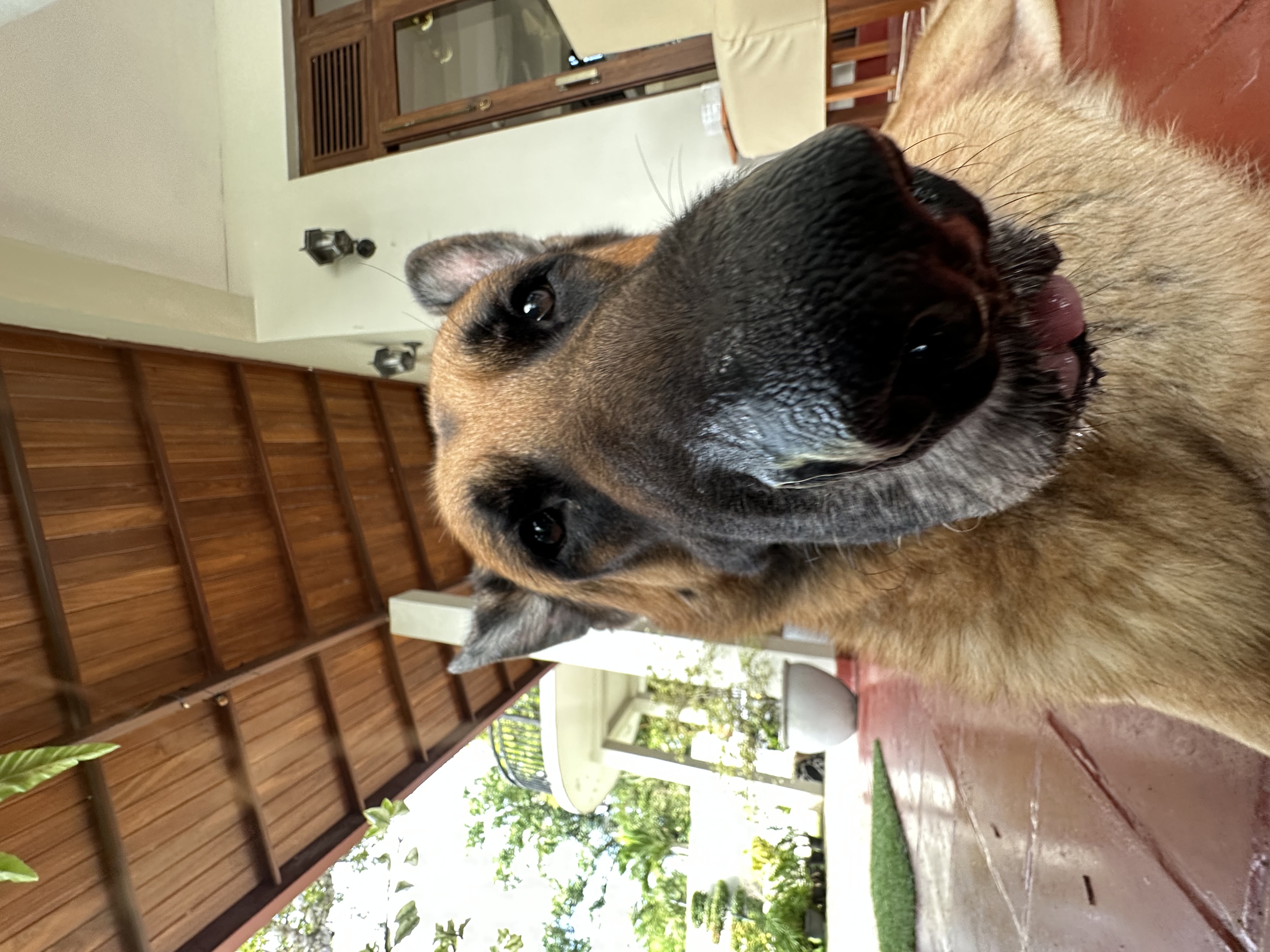 image-10